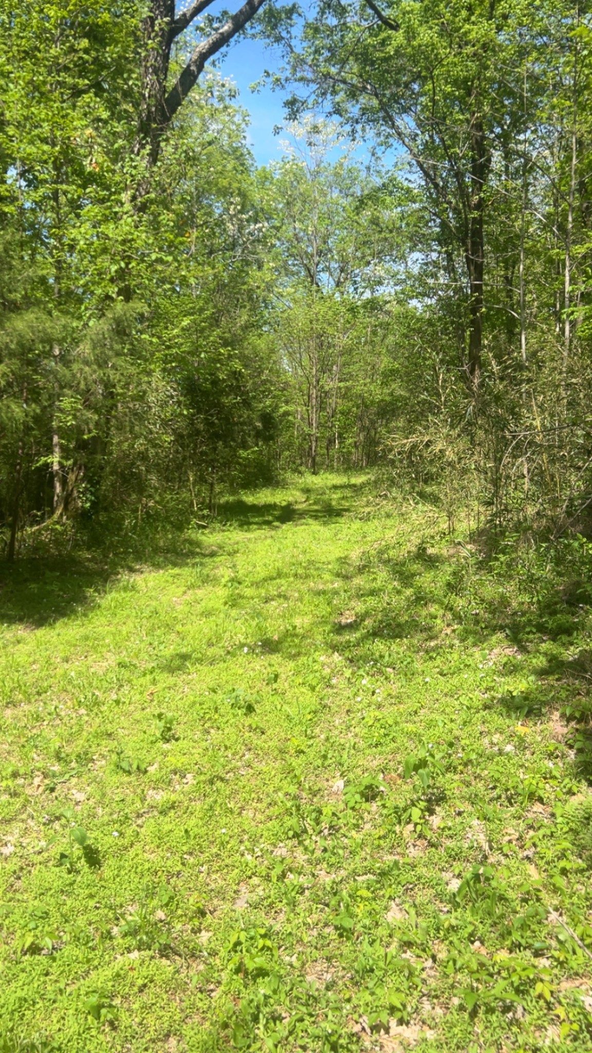 0 Wolf Hill Rd