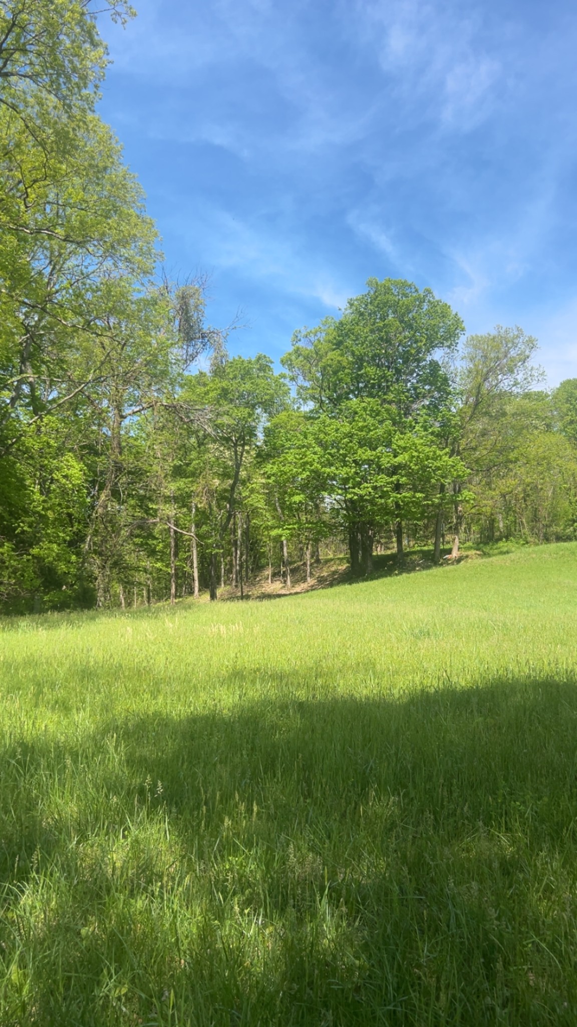 0 Wolf Hill Rd