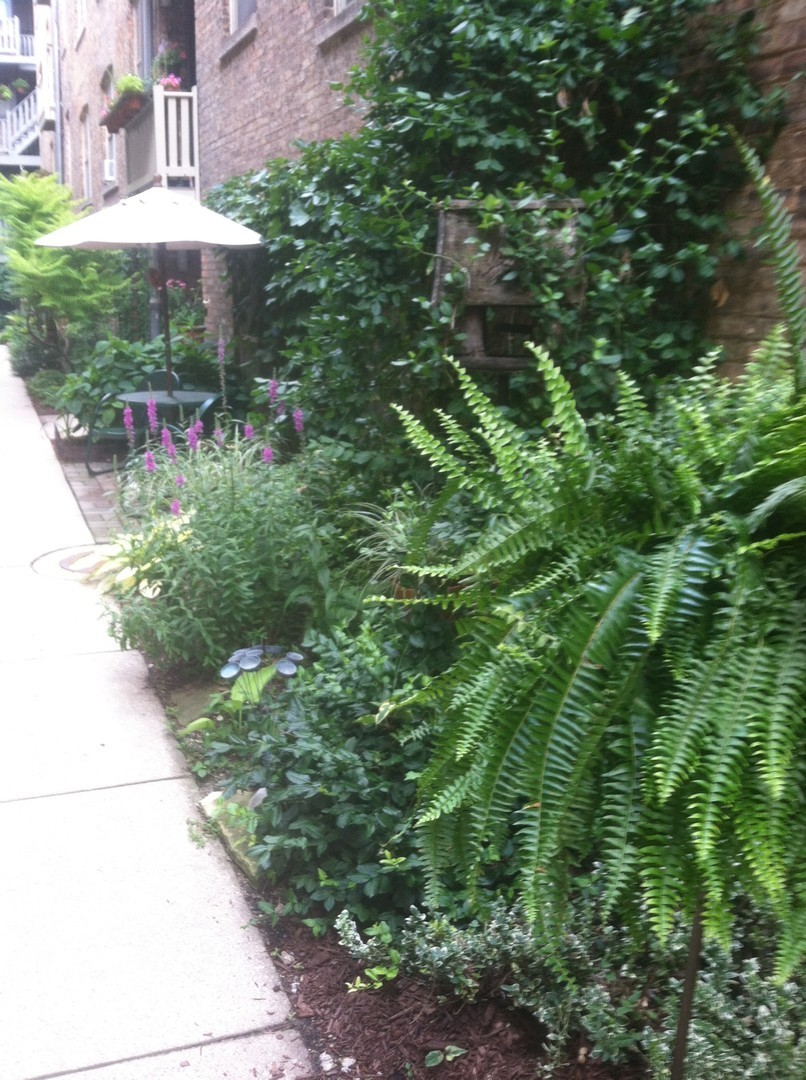 218 N Oak Park Avenue Unit: 1Y