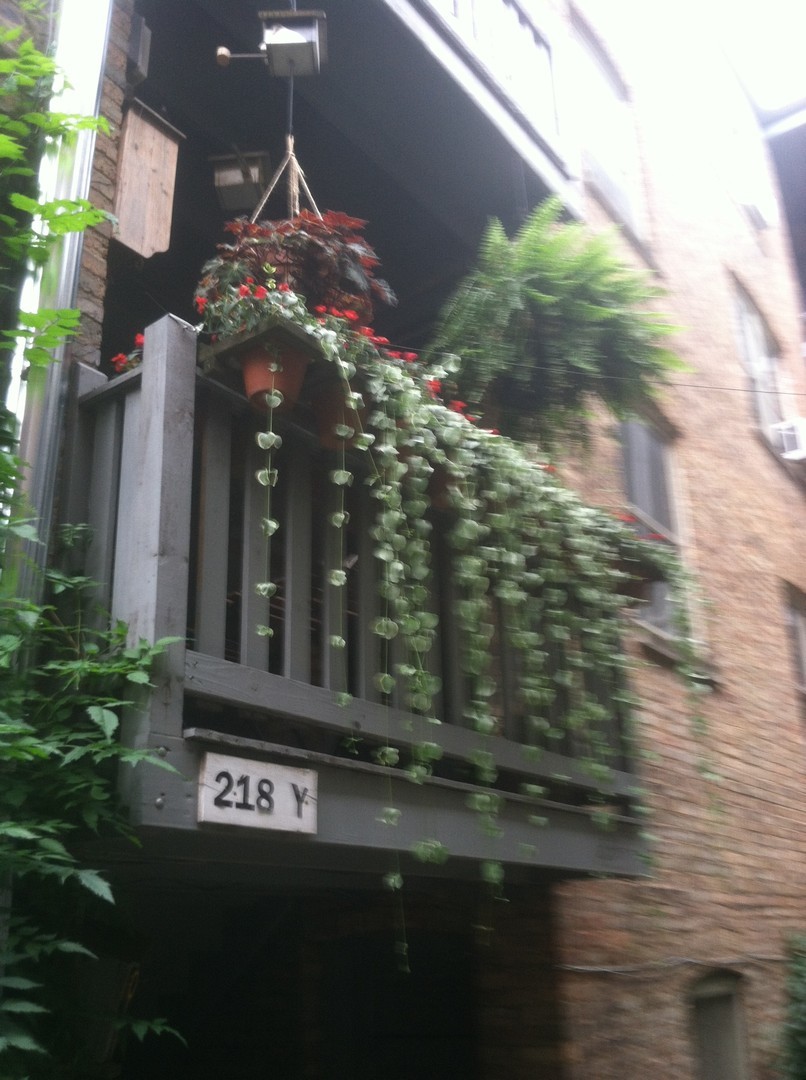 218 N Oak Park Avenue Unit: 1Y