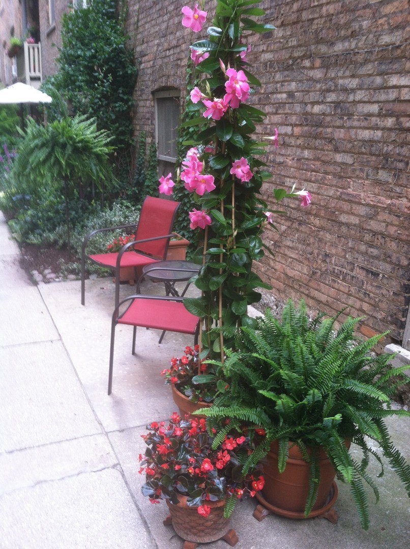 218 N Oak Park Avenue Unit: 1Y