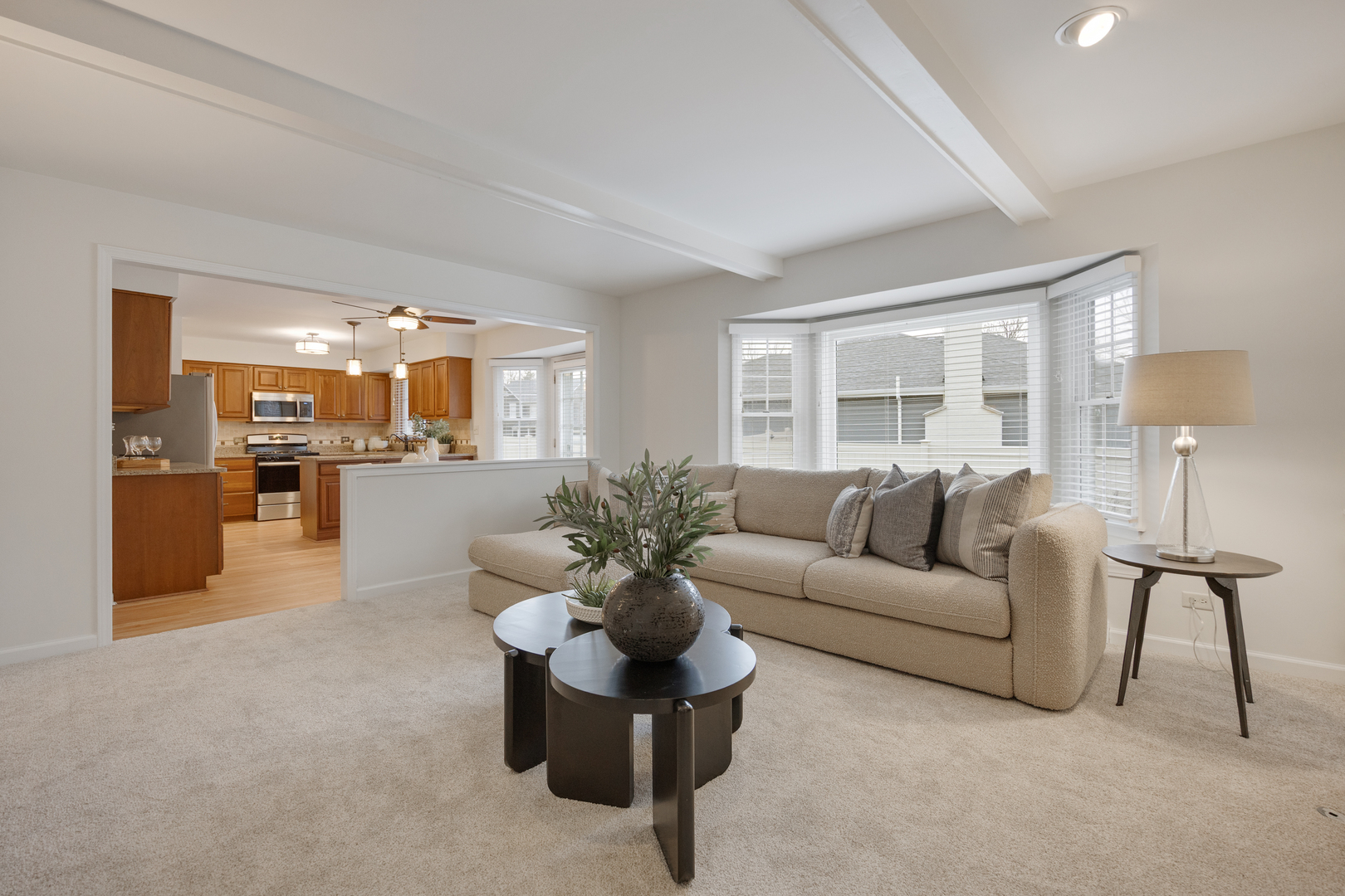 201 N Cambridge Drive