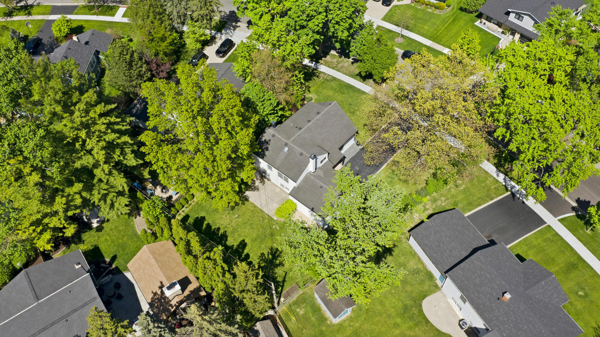 1917 E Cholo Lane