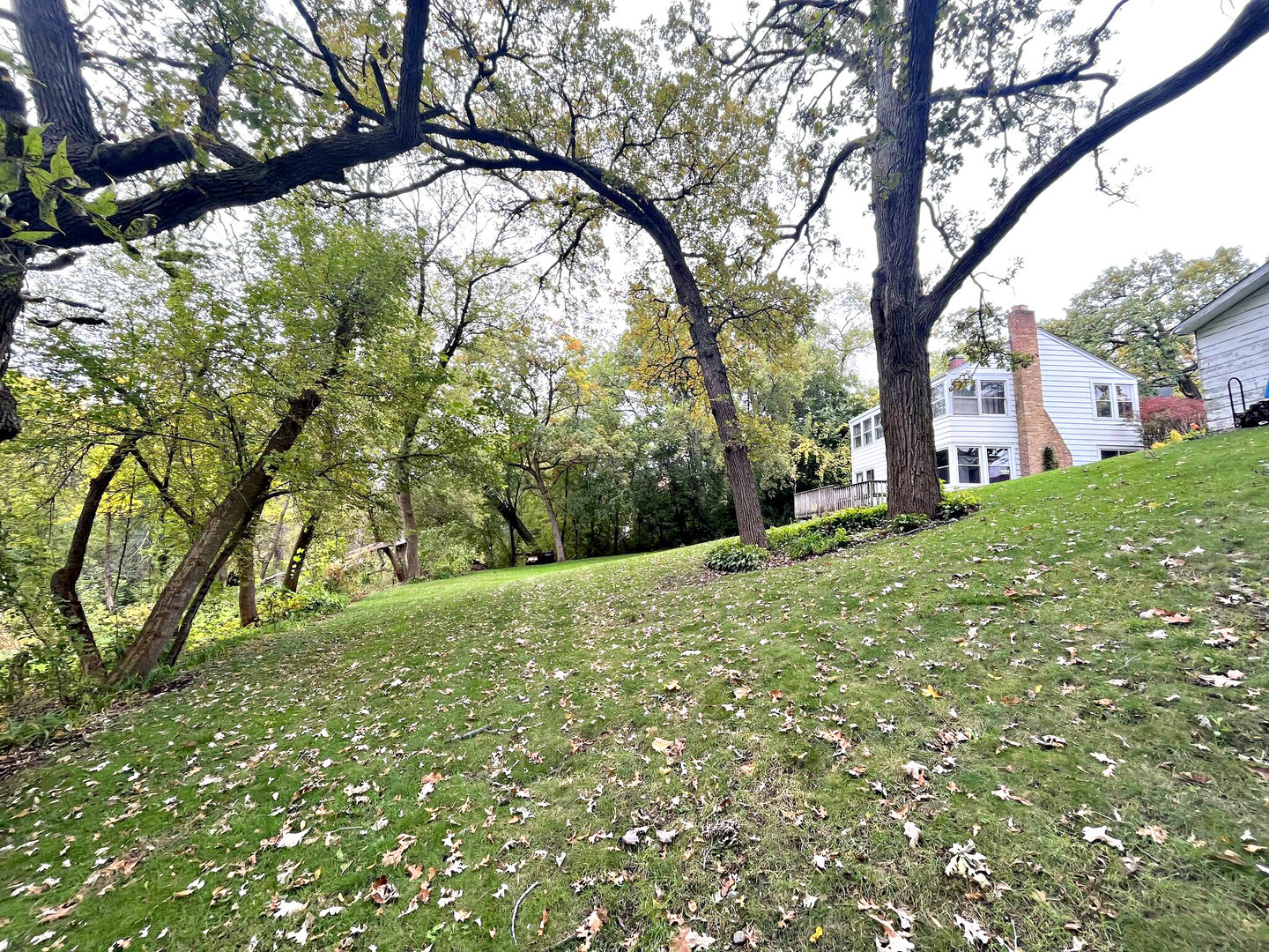 7810 Wooded Shore Drive