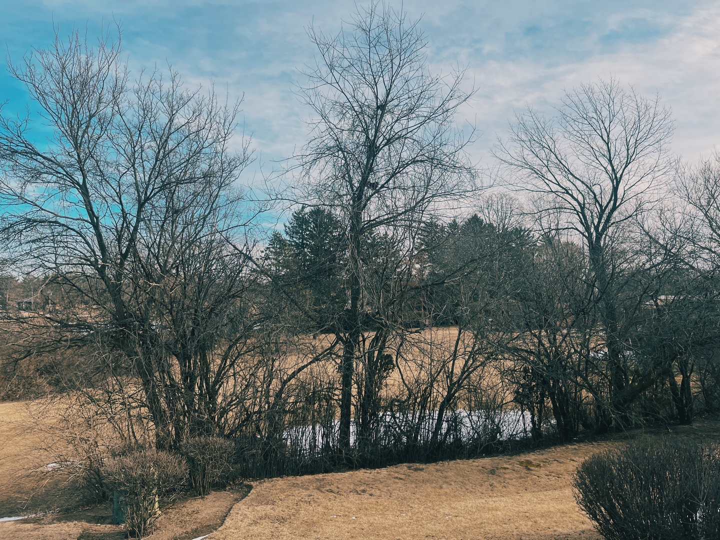 822 Duvall Drive Unit: 822