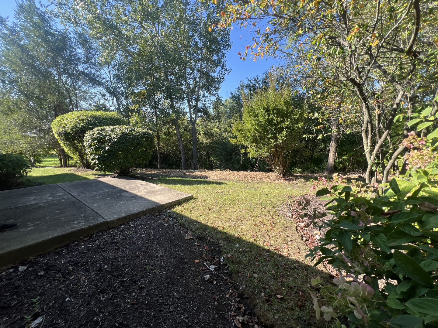 720 Serene Trail