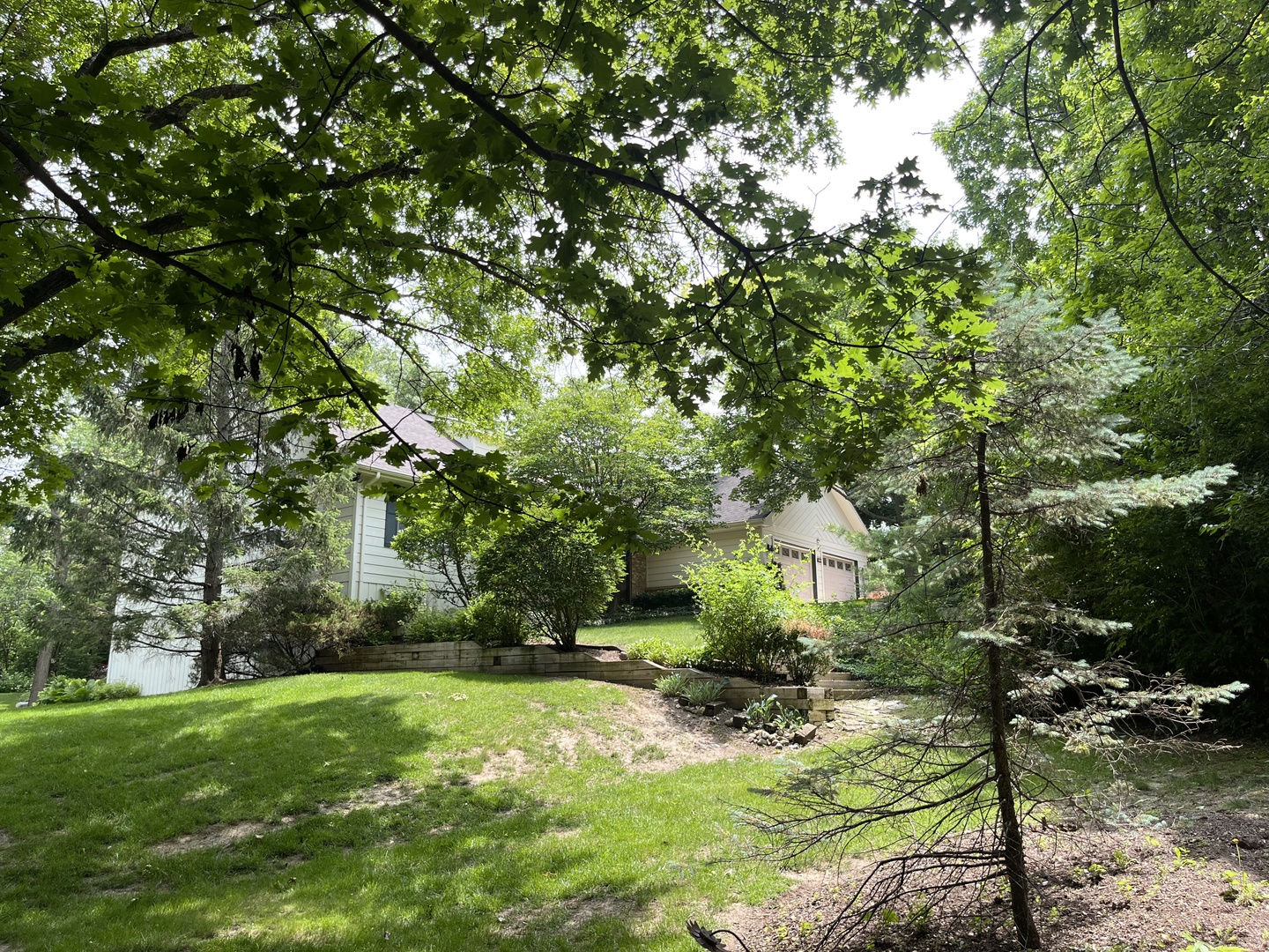 14216 Oakview Court