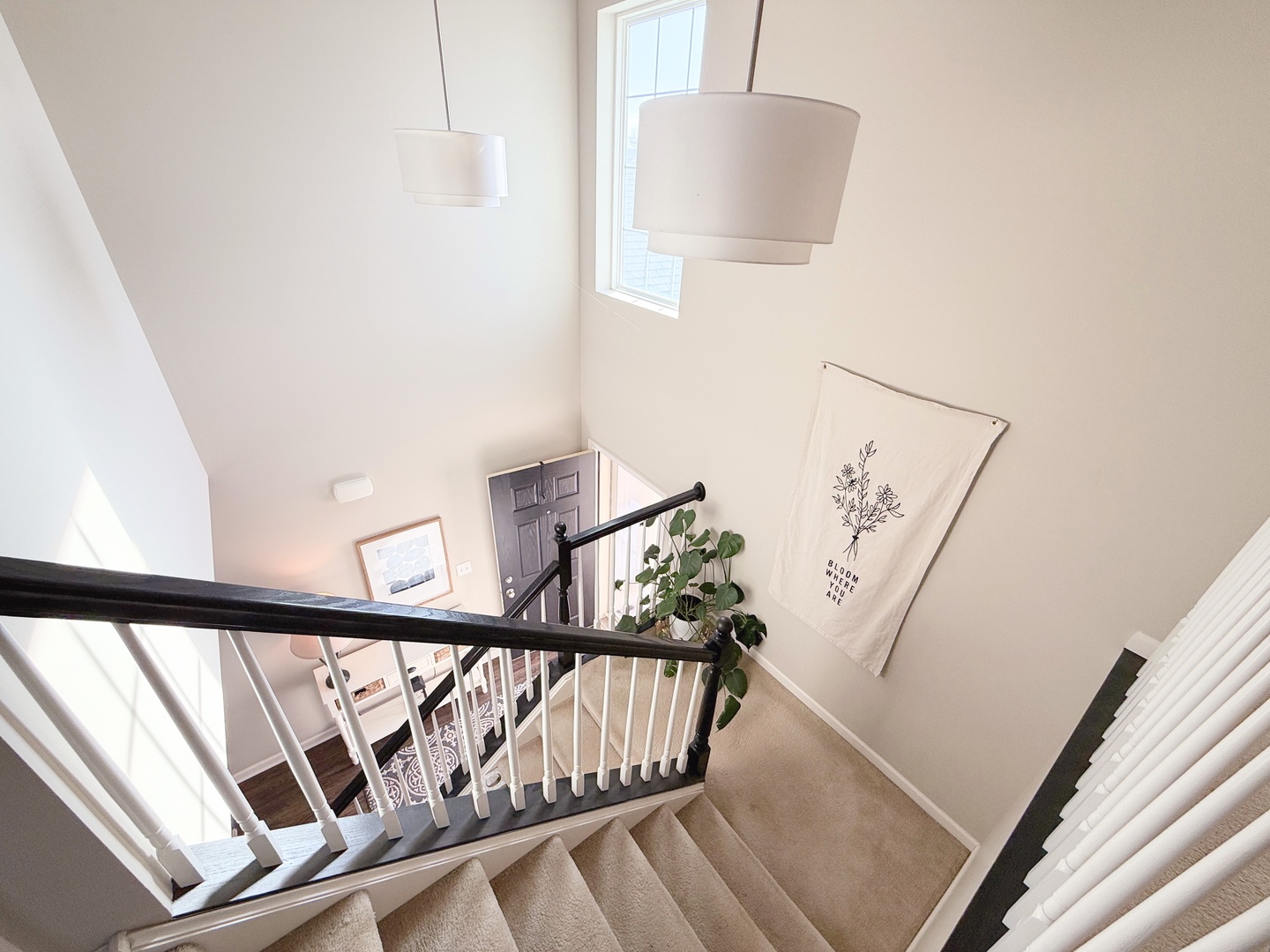 233 Wild Meadow Lane