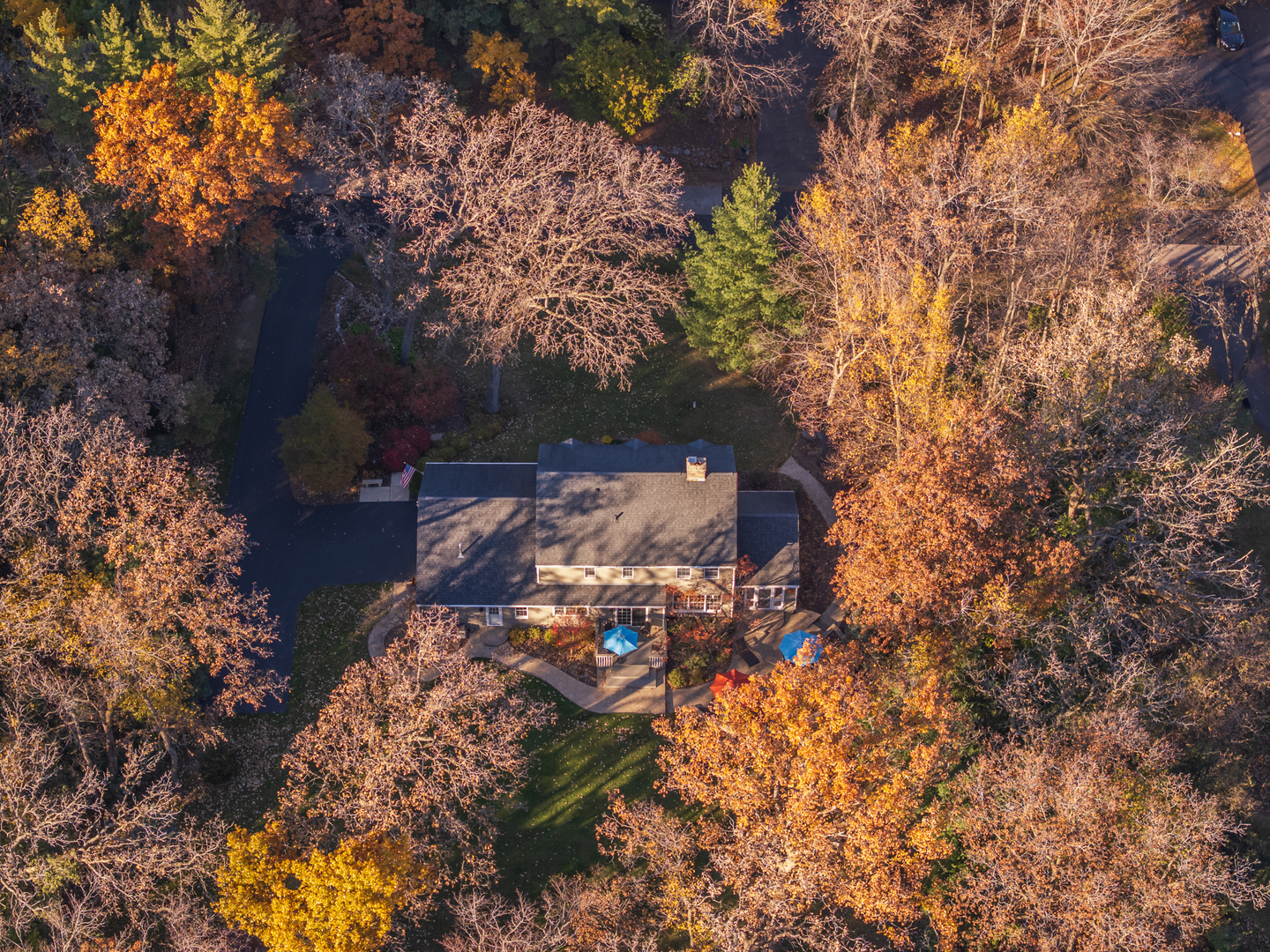 9217 Shadow Lane