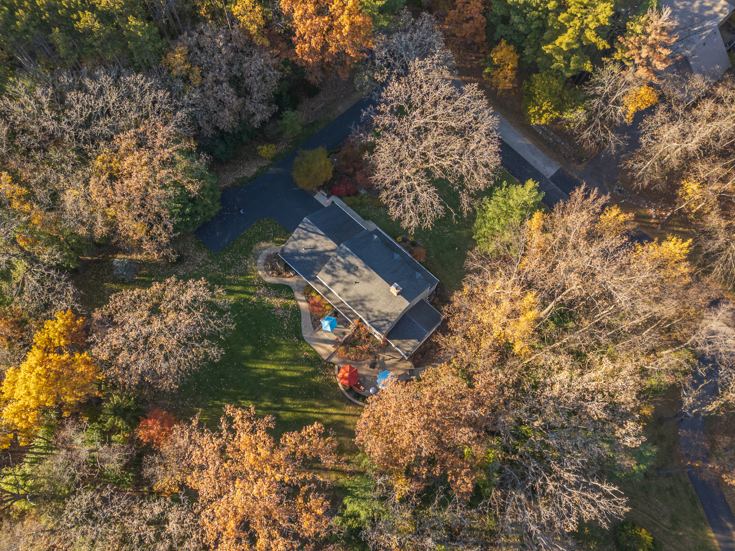 9217 Shadow Lane