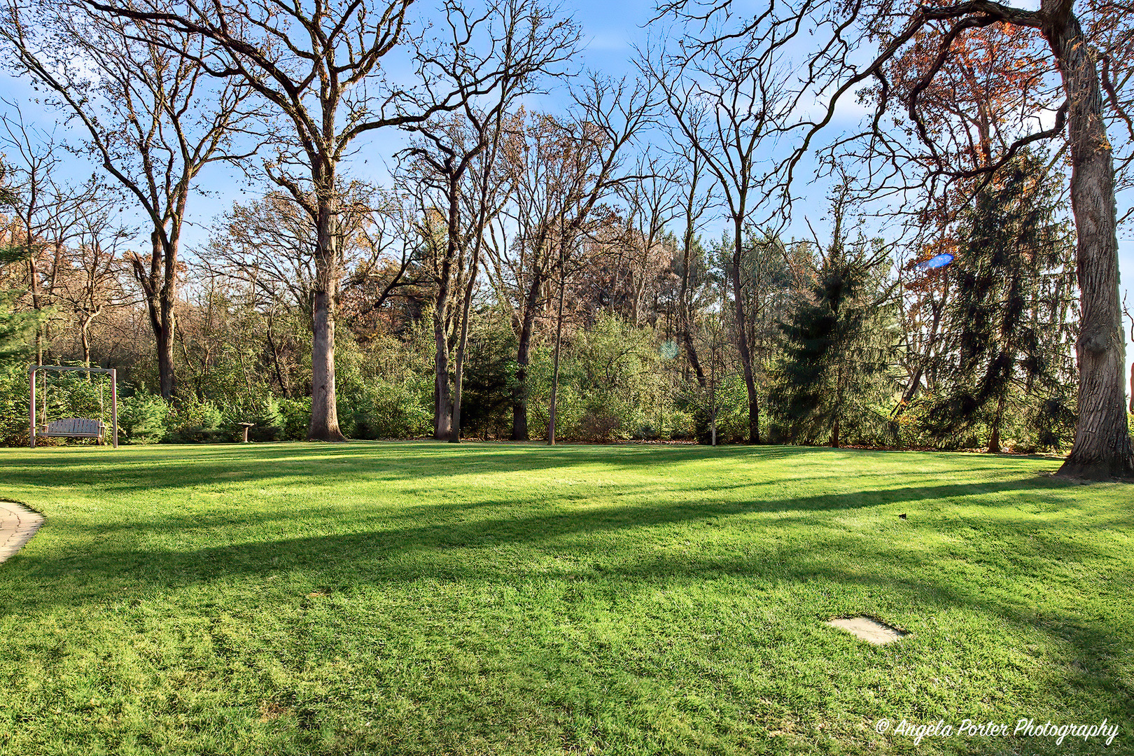 9217 Shadow Lane