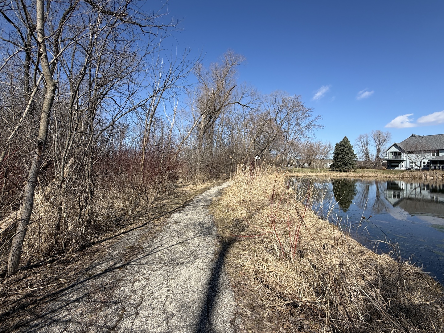 790 Regina Court Unit: 790