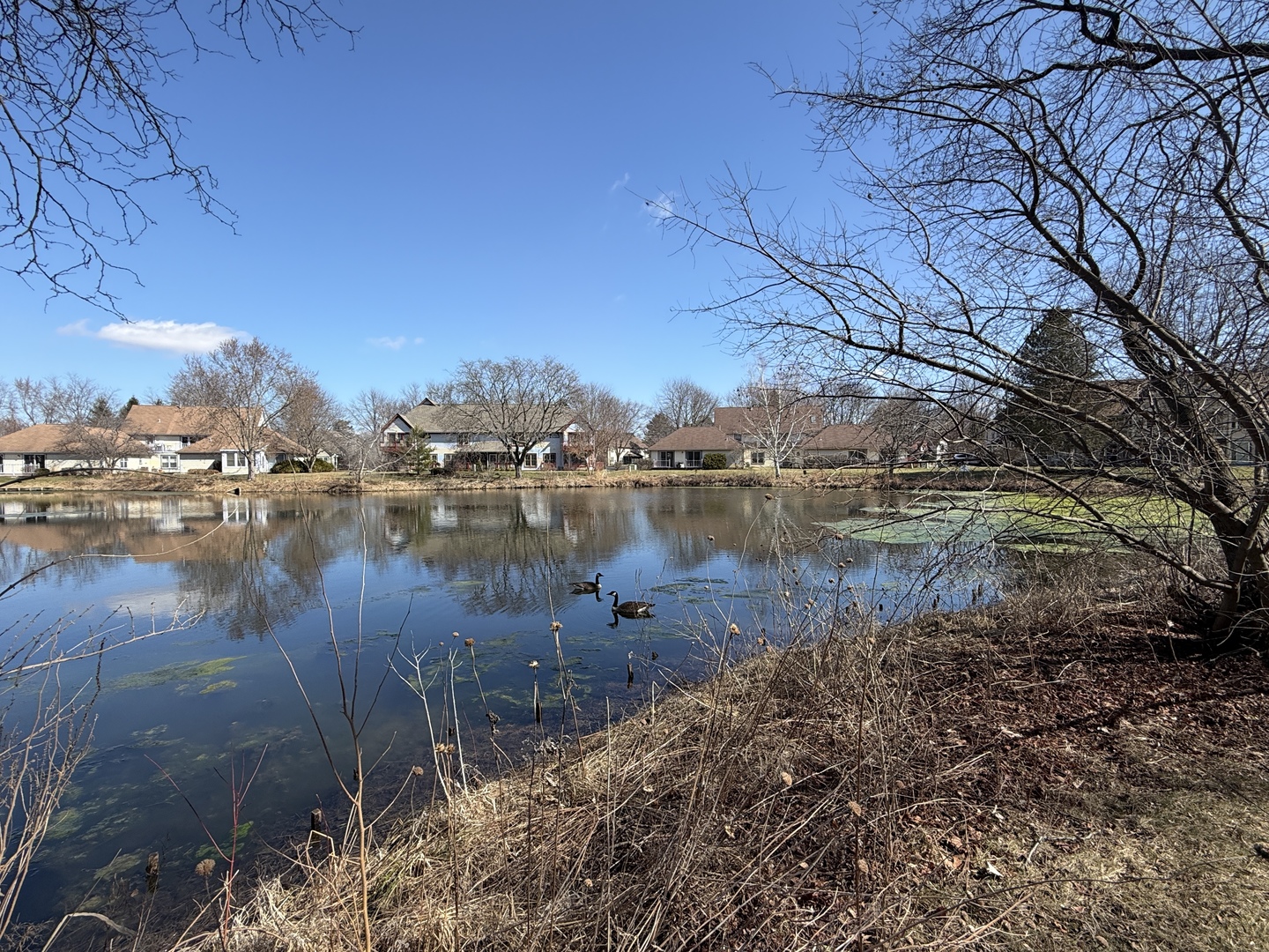 790 Regina Court Unit: 790