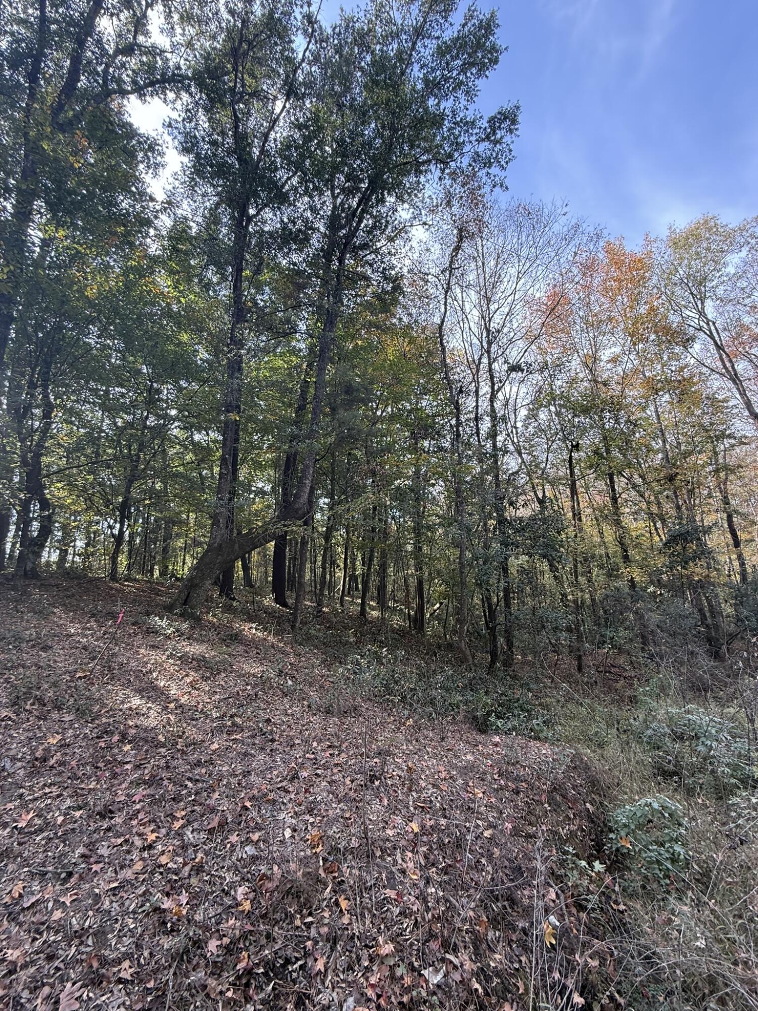 0 Yellow House, Lot 1 Place