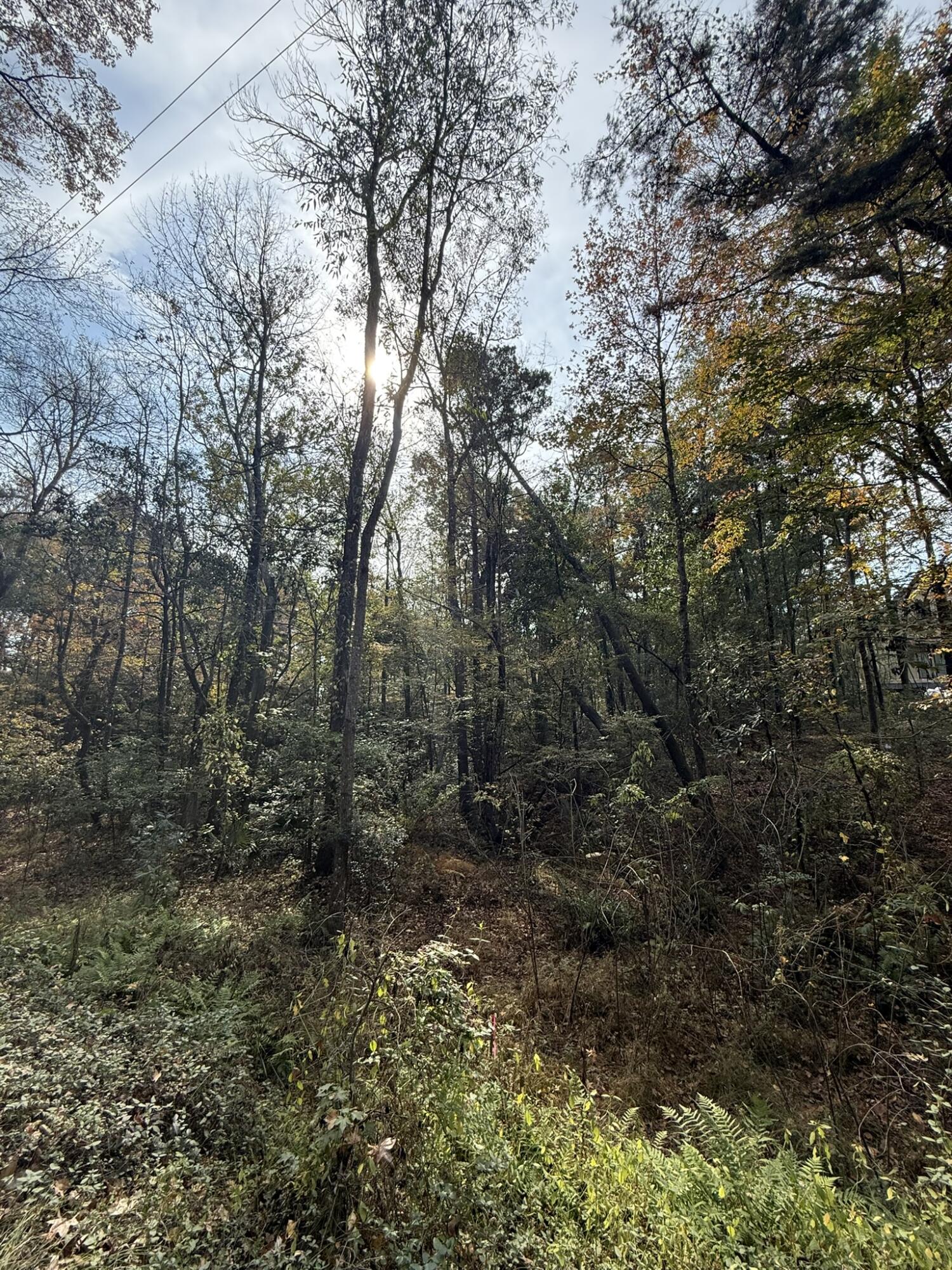 0 Yellow House, Lot 1 Place