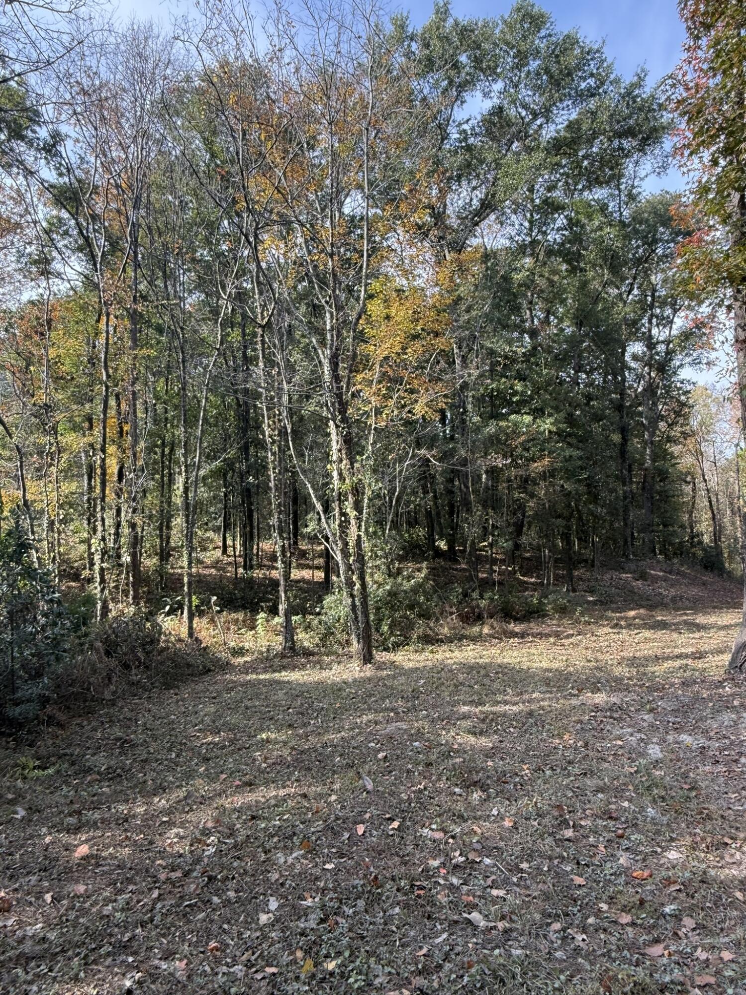 0 Yellow House, Lot 1 Place