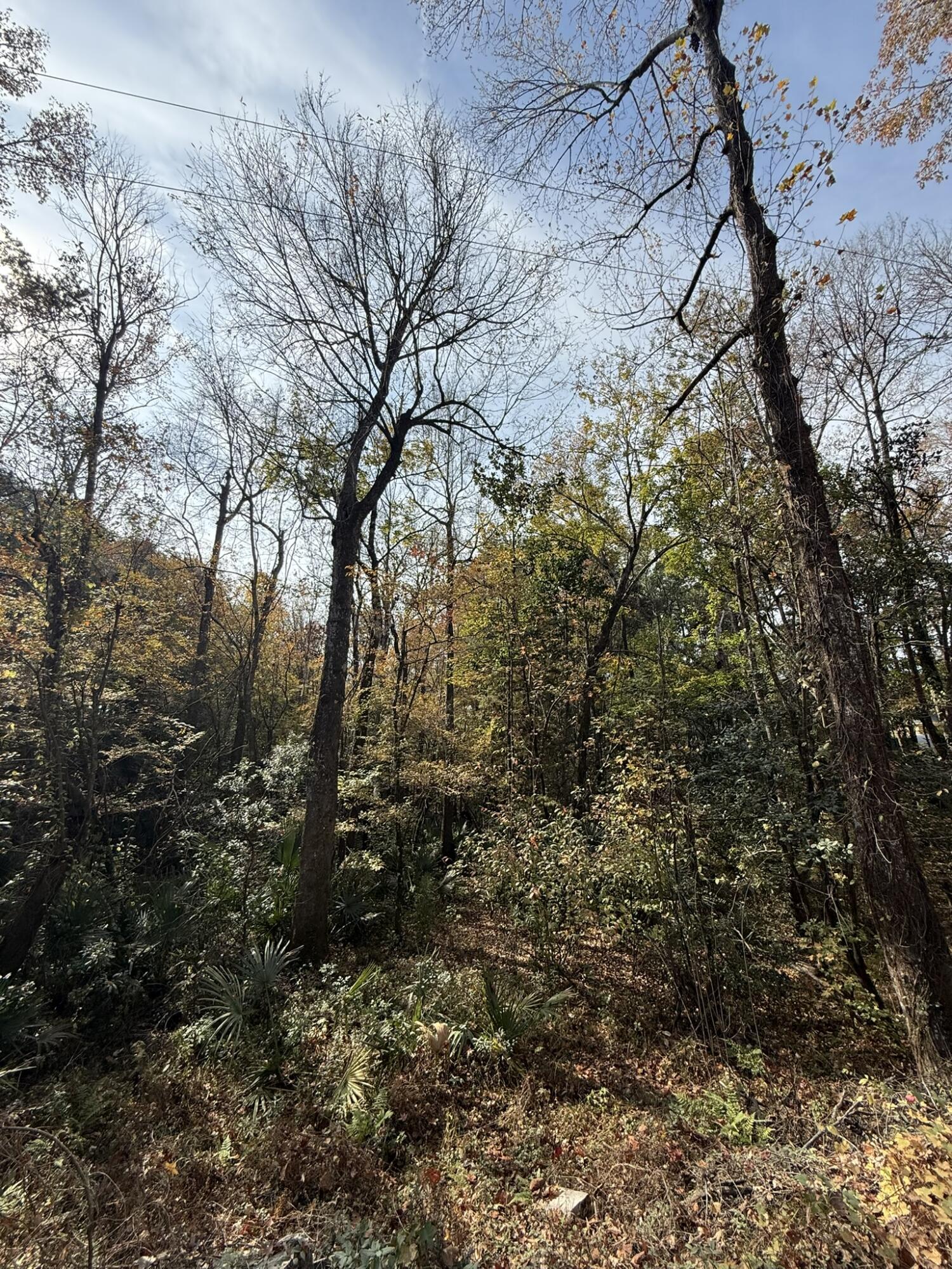 0 Yellow House, Lot 1 Place