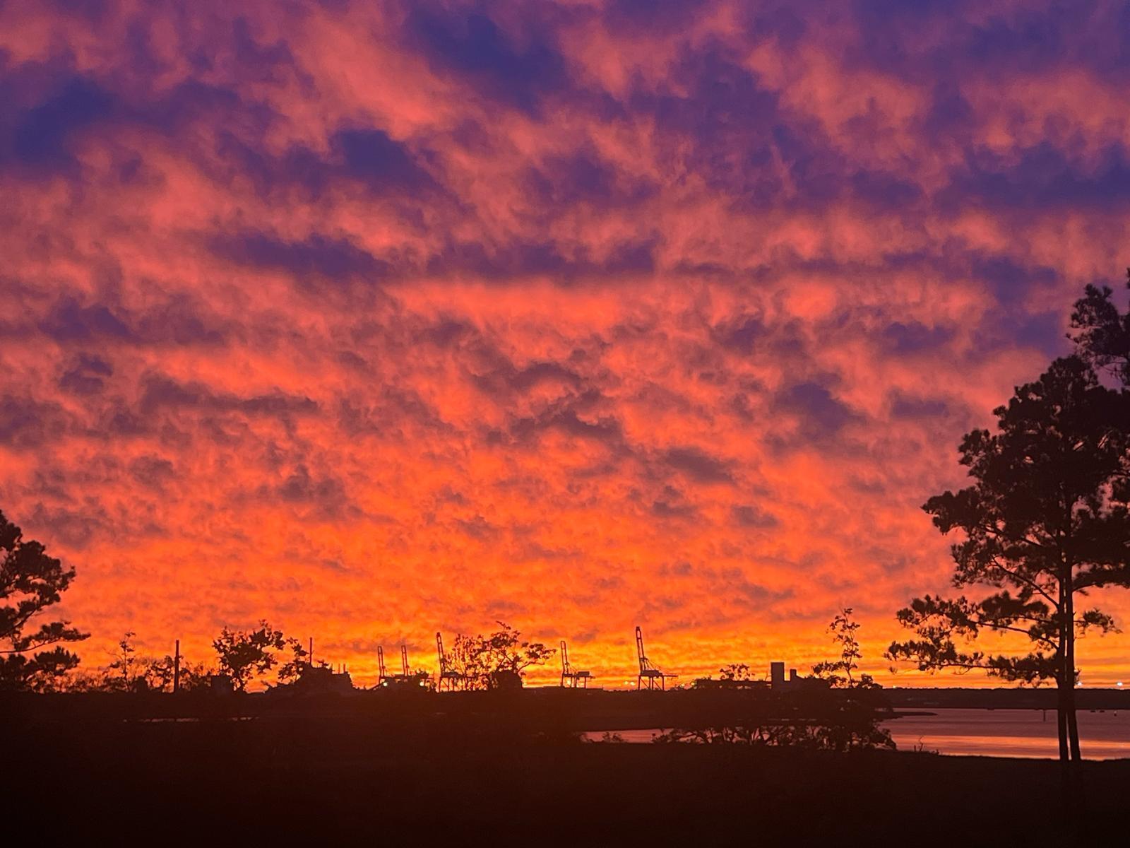 523 Spring Hollow Drive