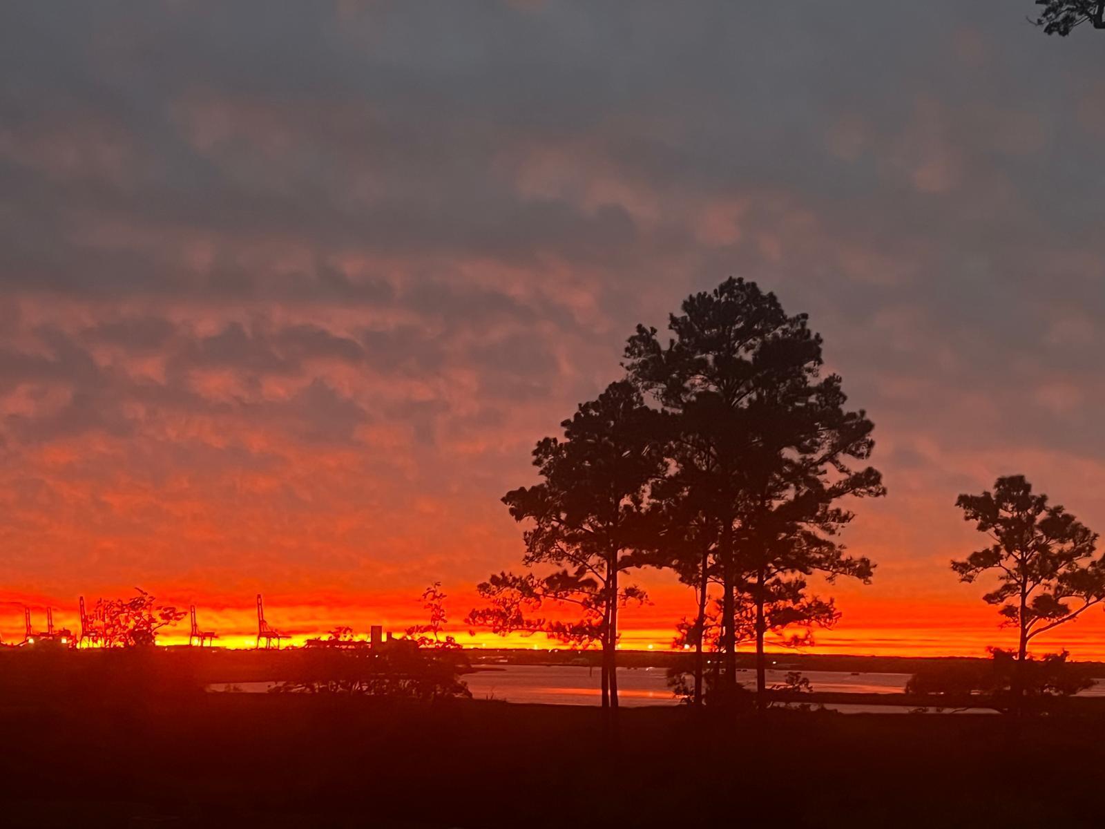 523 Spring Hollow Drive