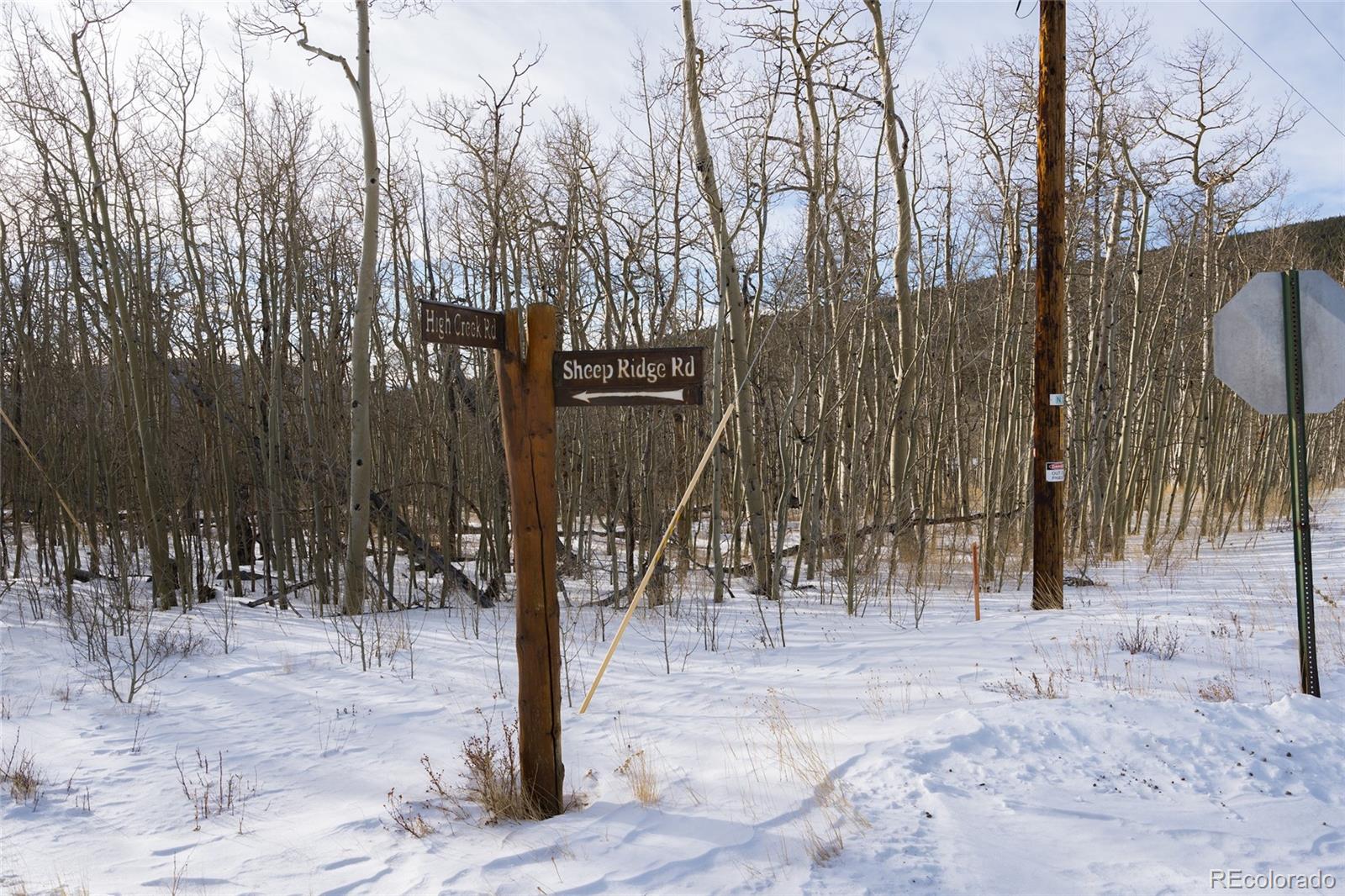 Sheep Ridge Road