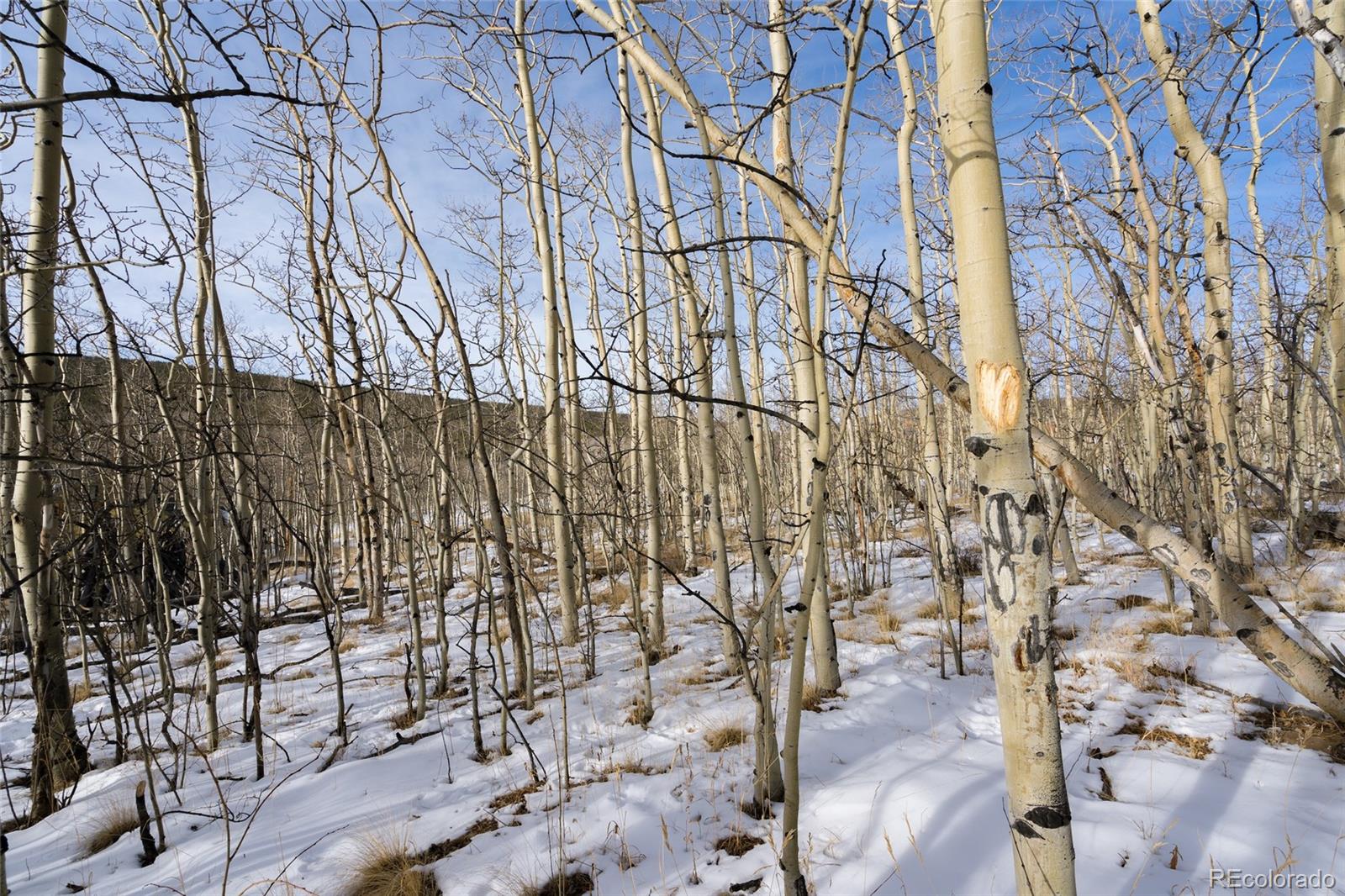 Sheep Ridge Road