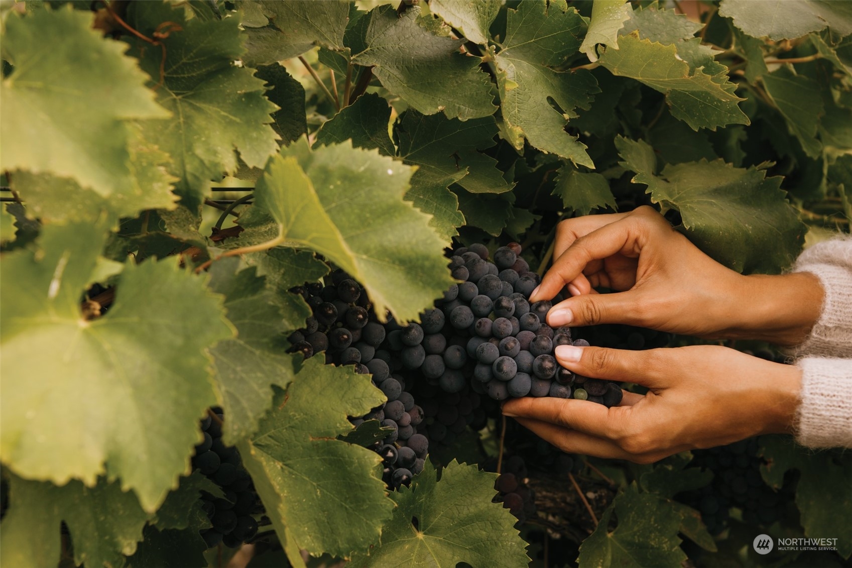 344 Silica Road NW Unit: 12