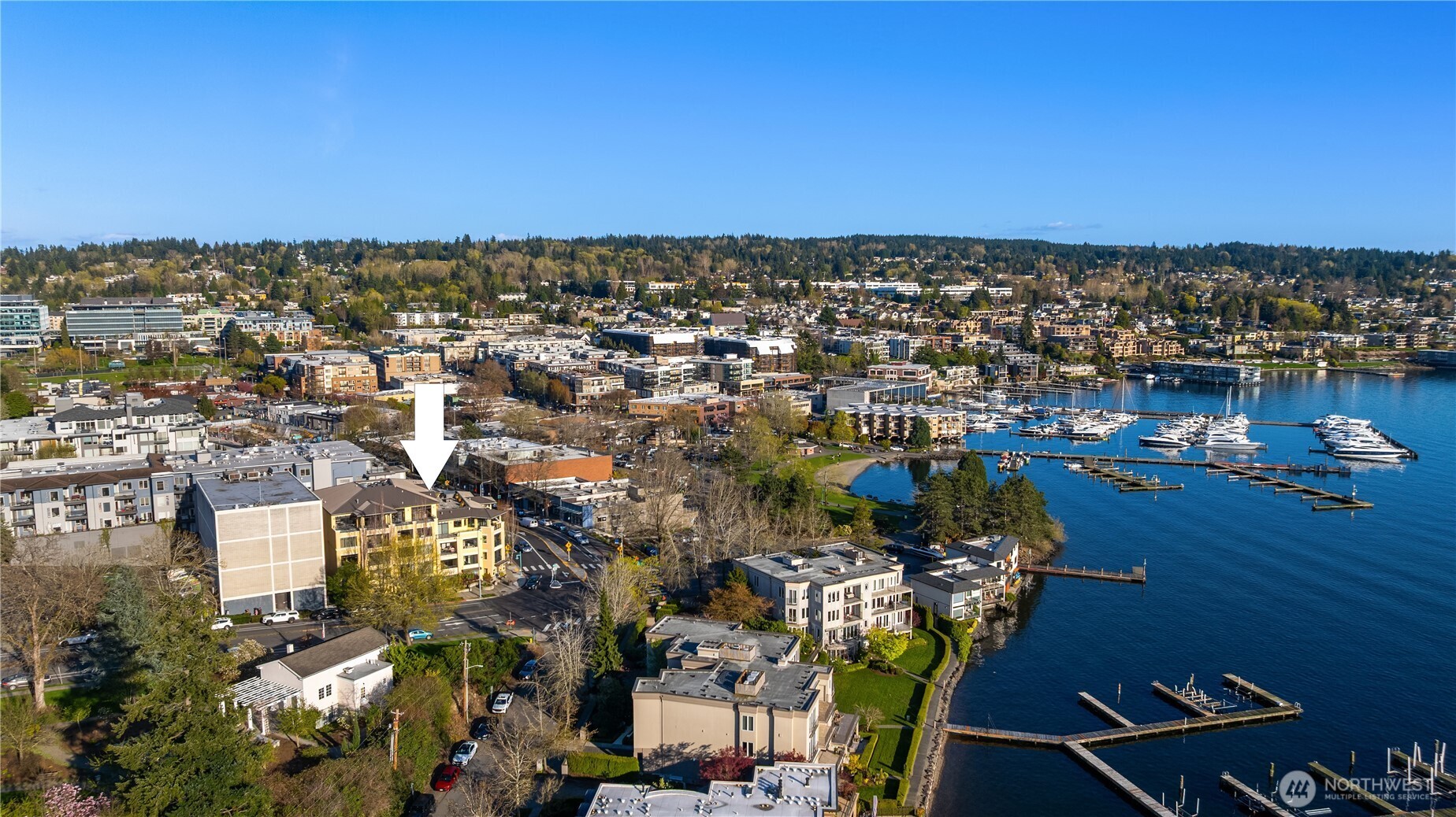 210 Market Street Unit: 303