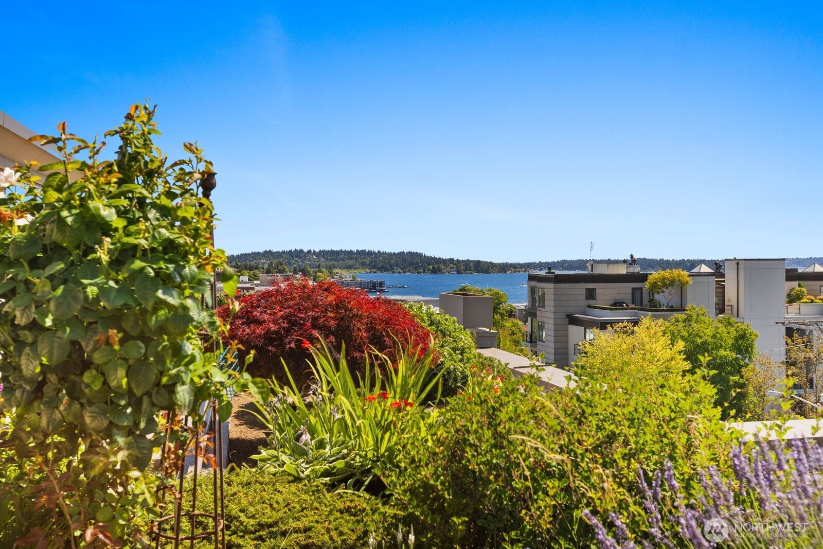 225 4th Avenue Unit: A602