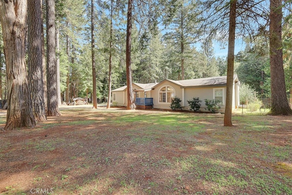 138 Big Fir