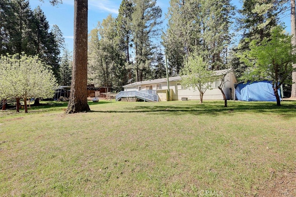 138 Big Fir