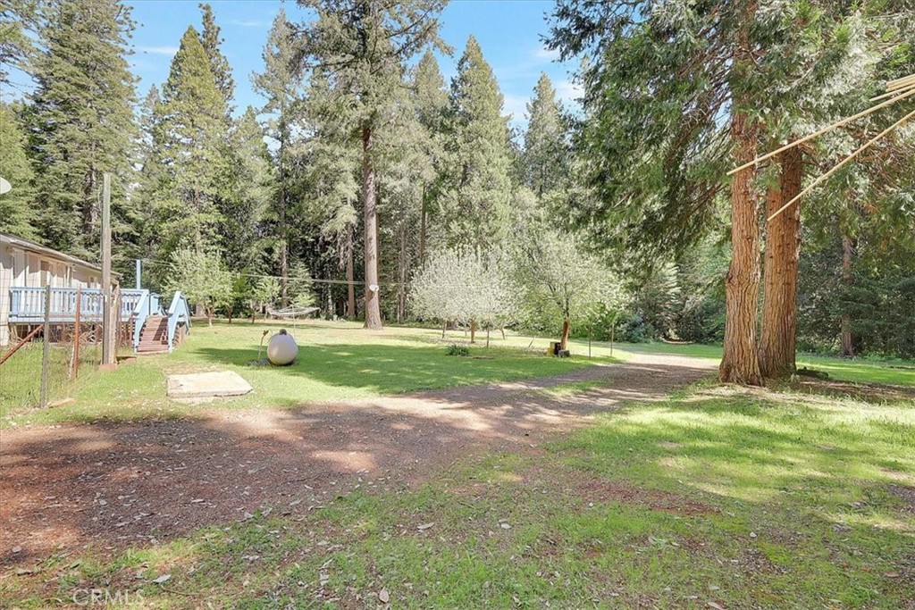 138 Big Fir