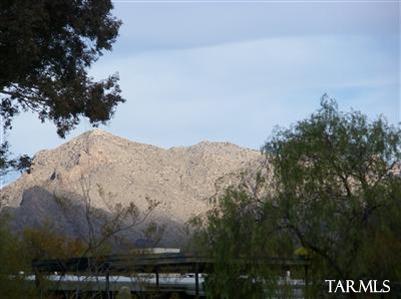 6224 N Camino De Corozal