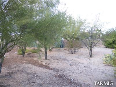 6224 N Camino De Corozal