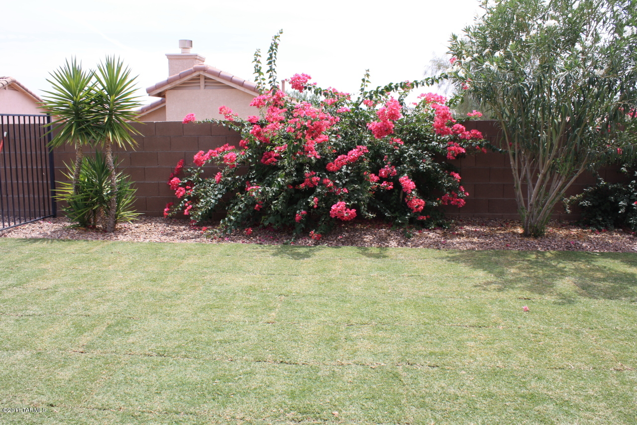 5463 W Fresnal Canyon