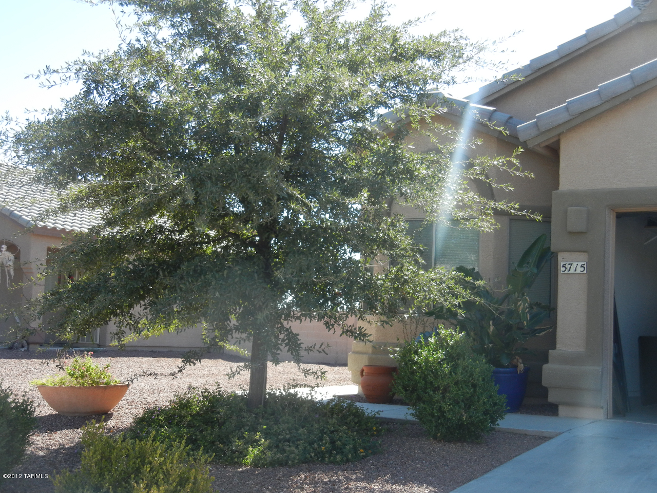 5715 W Cortaro Crossing Drive