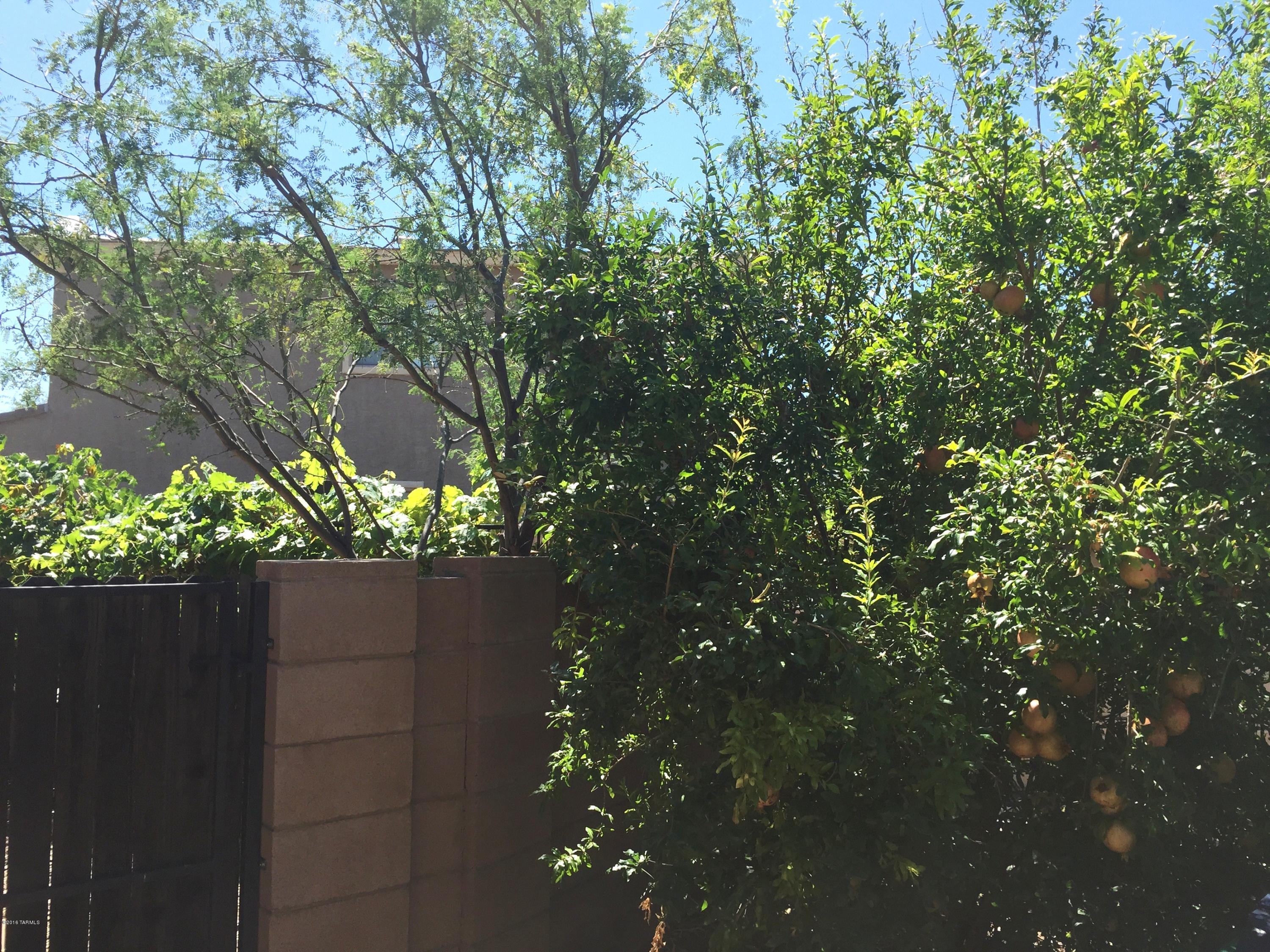 1028 W Blue Crest Drive