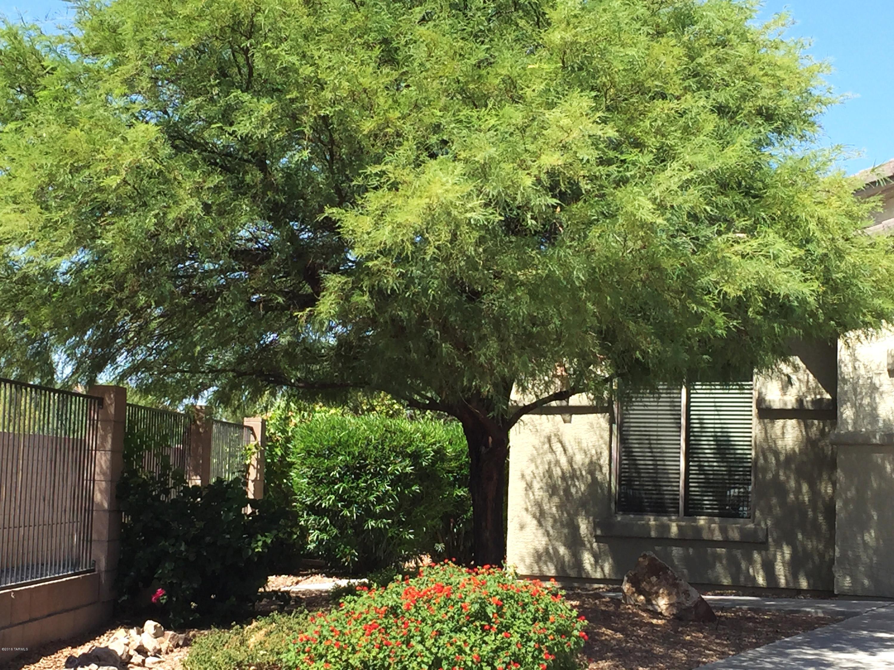 1028 W Blue Crest Drive