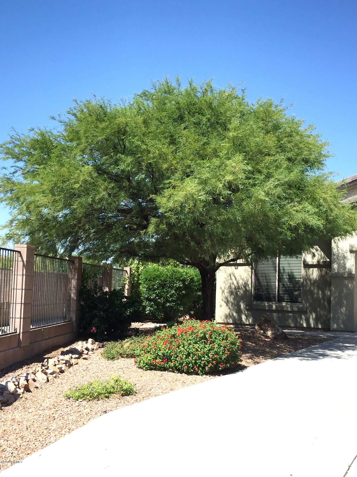 1028 W Blue Crest Drive