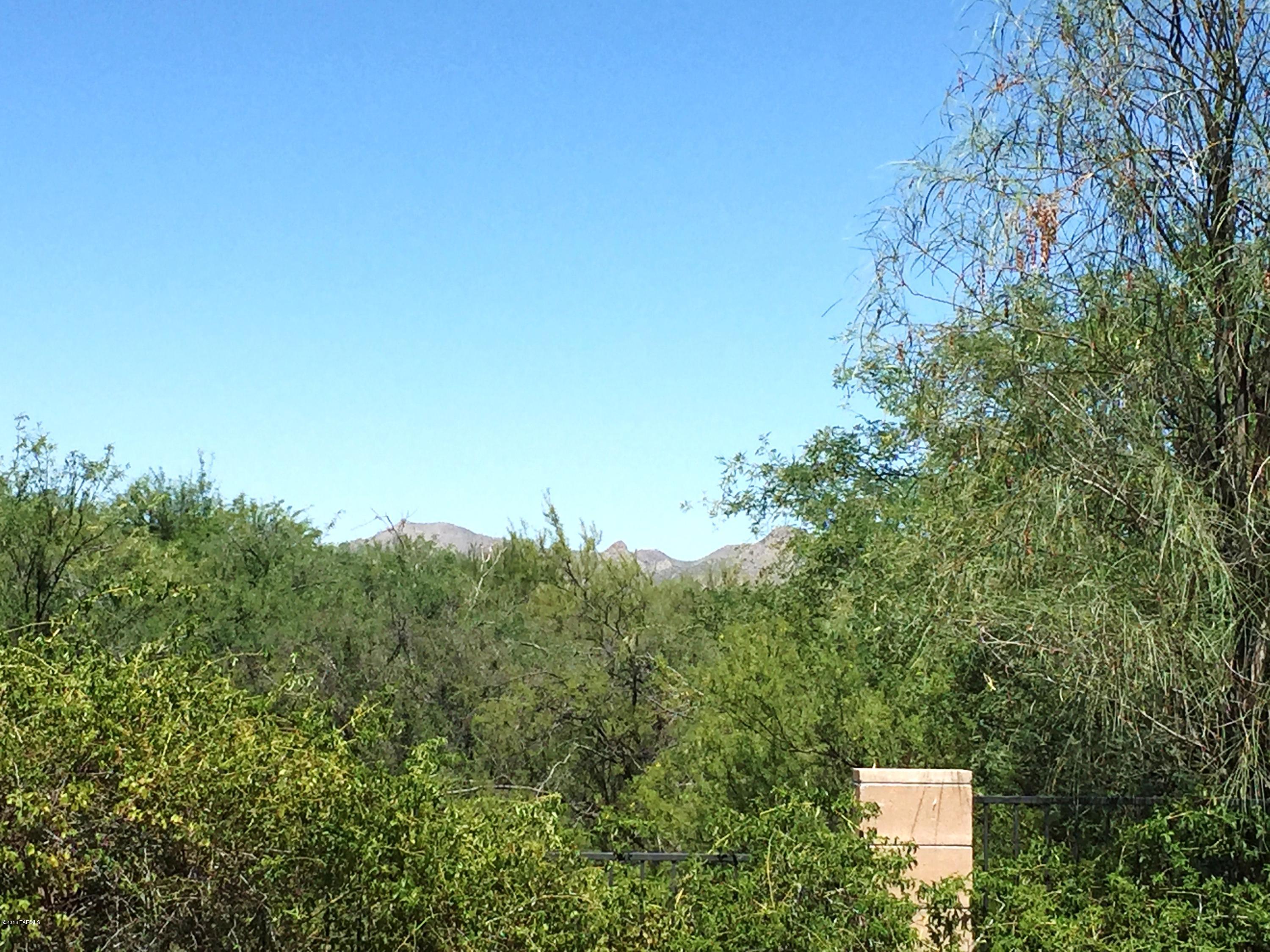 1028 W Blue Crest Drive