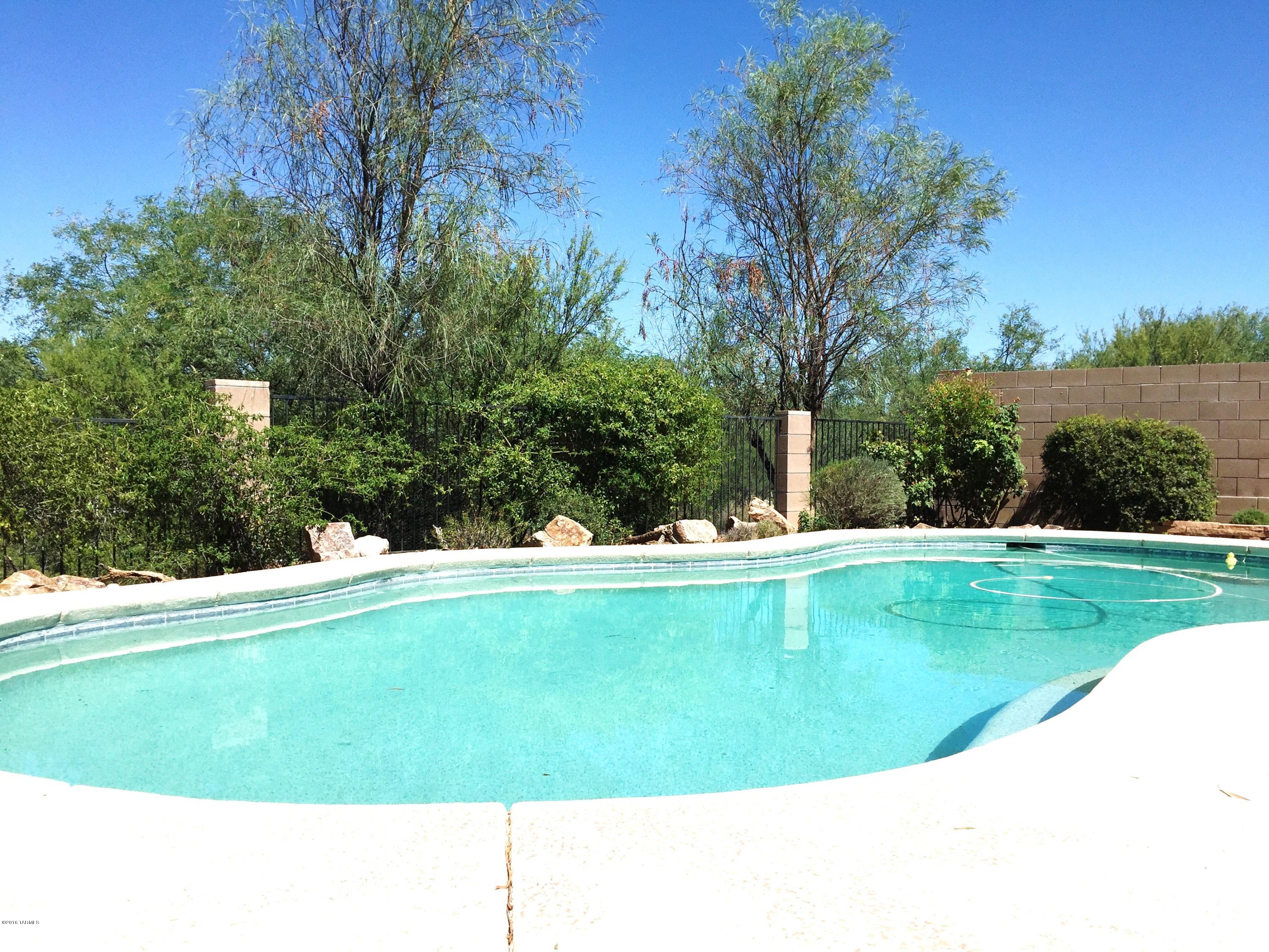 1028 W Blue Crest Drive