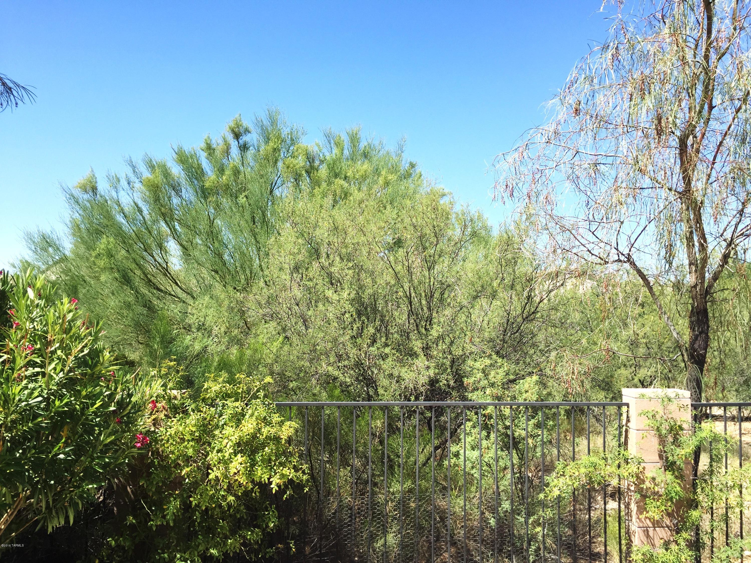 1028 W Blue Crest Drive