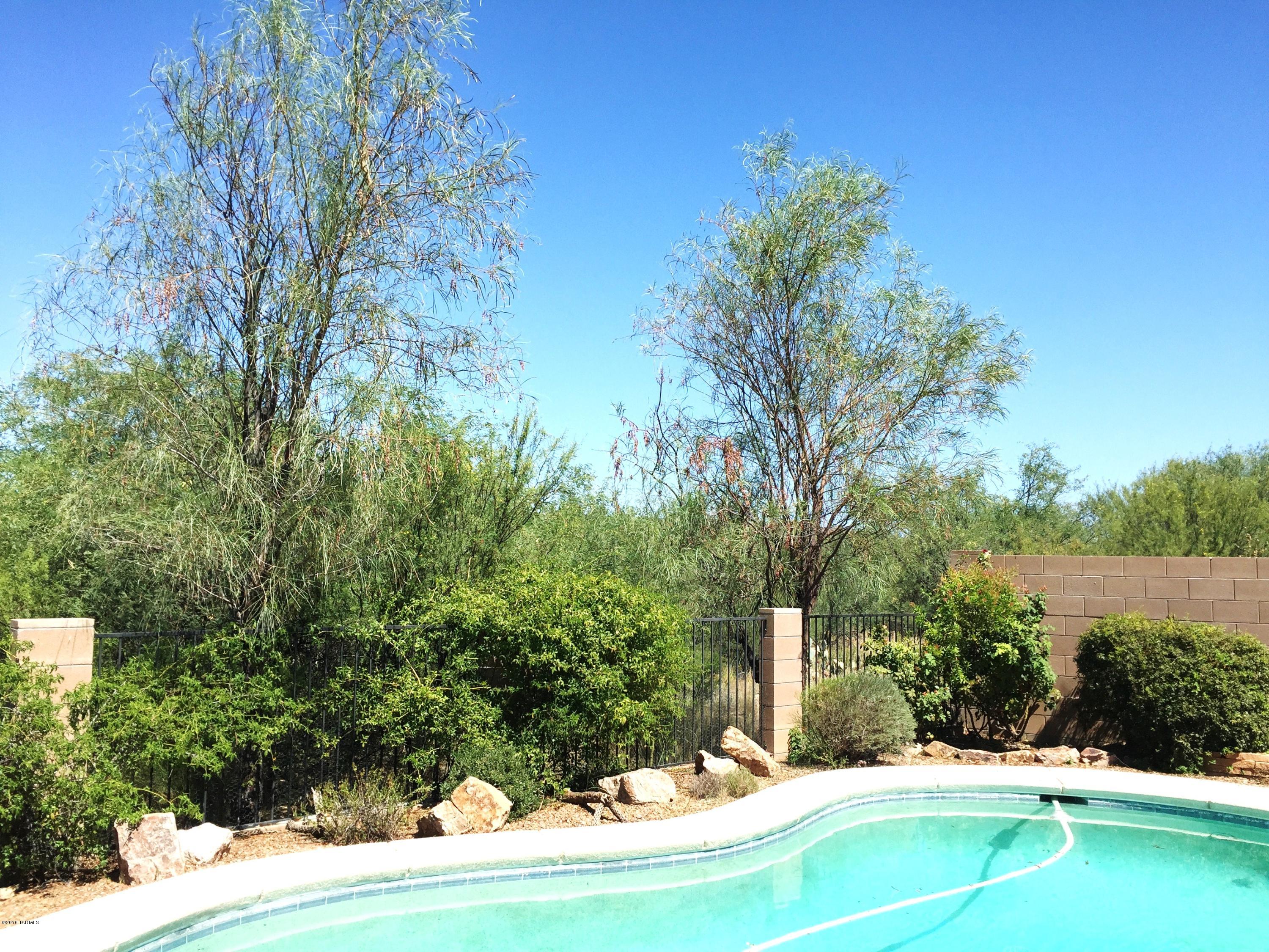 1028 W Blue Crest Drive