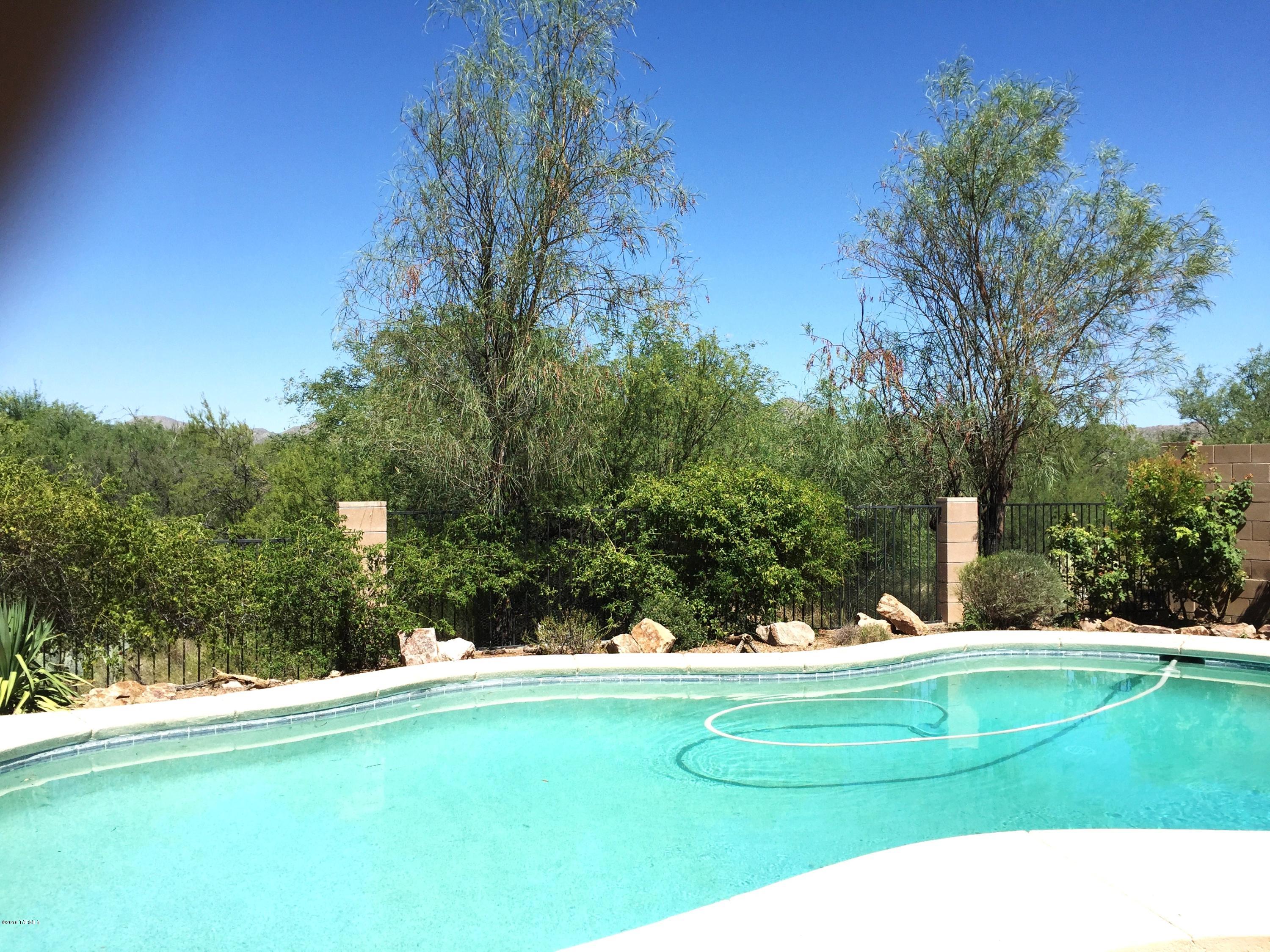 1028 W Blue Crest Drive