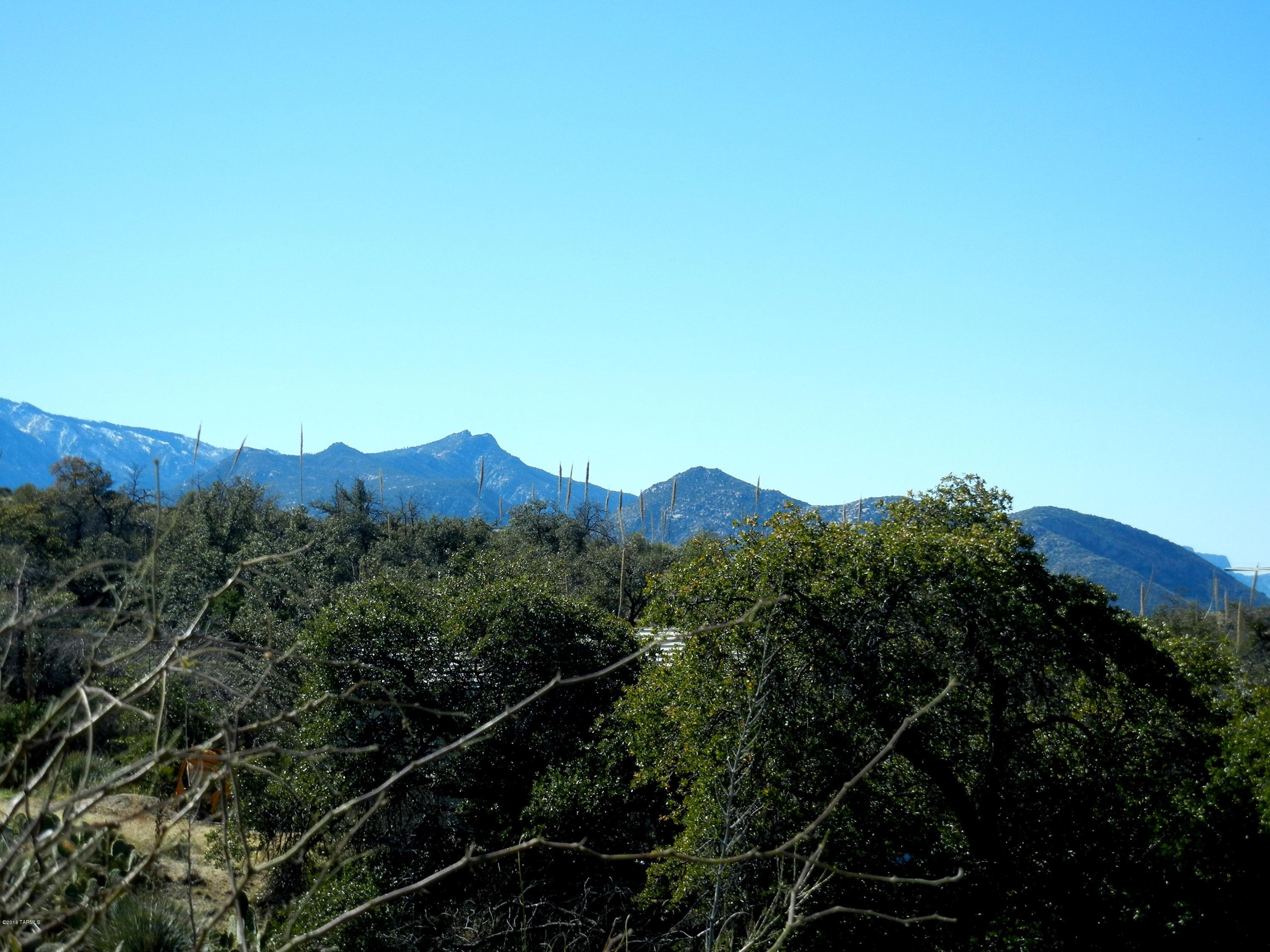 1174 W Kokopelli Lane