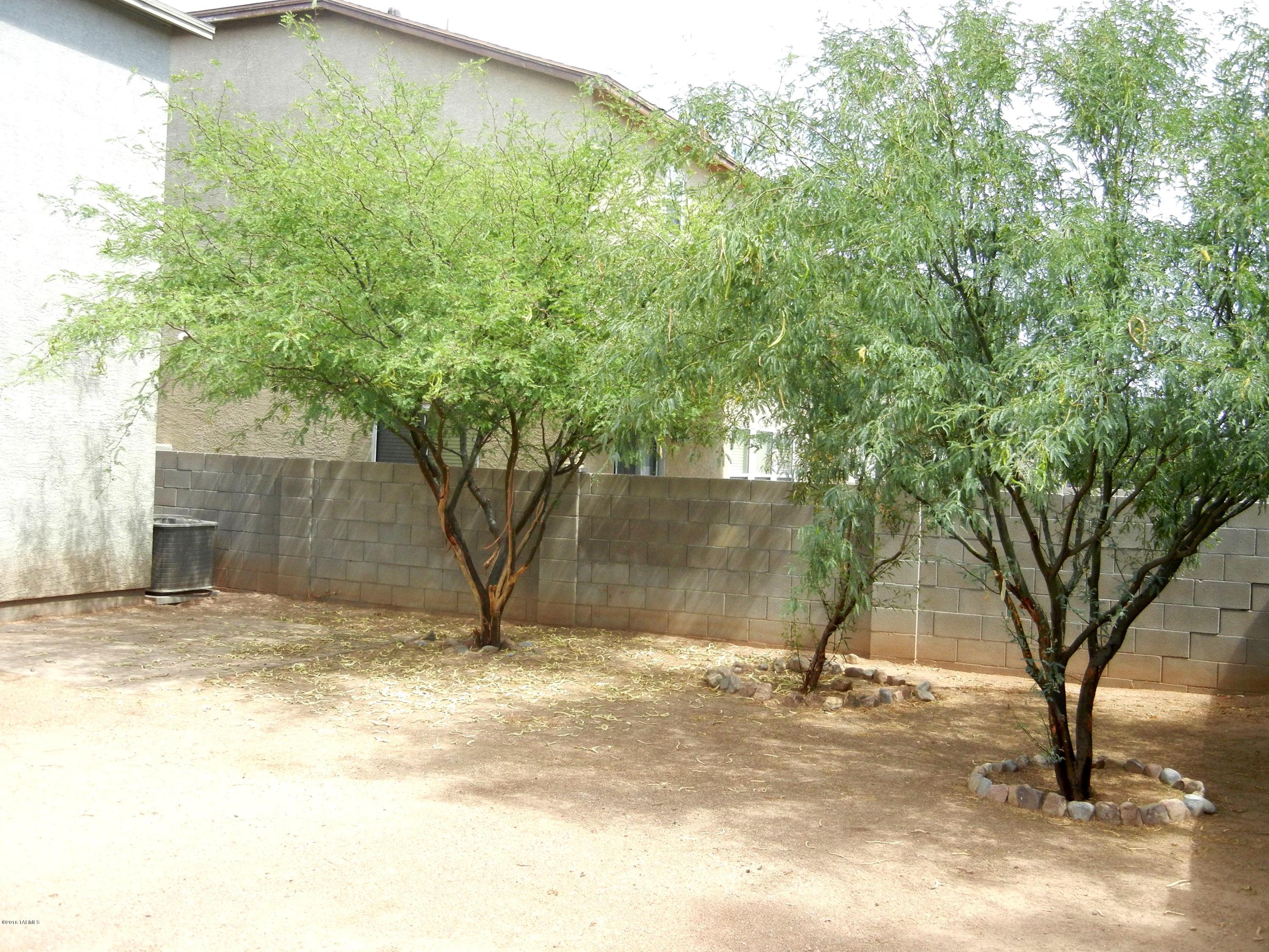 6249 E Stonechat Drive