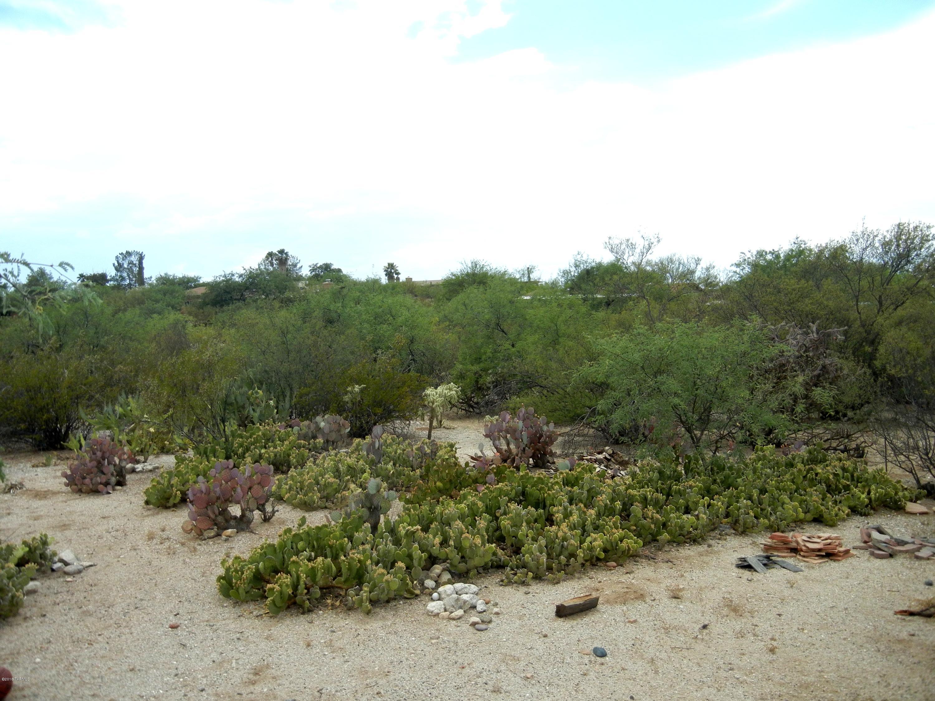 4621 N Rio Vista Drive