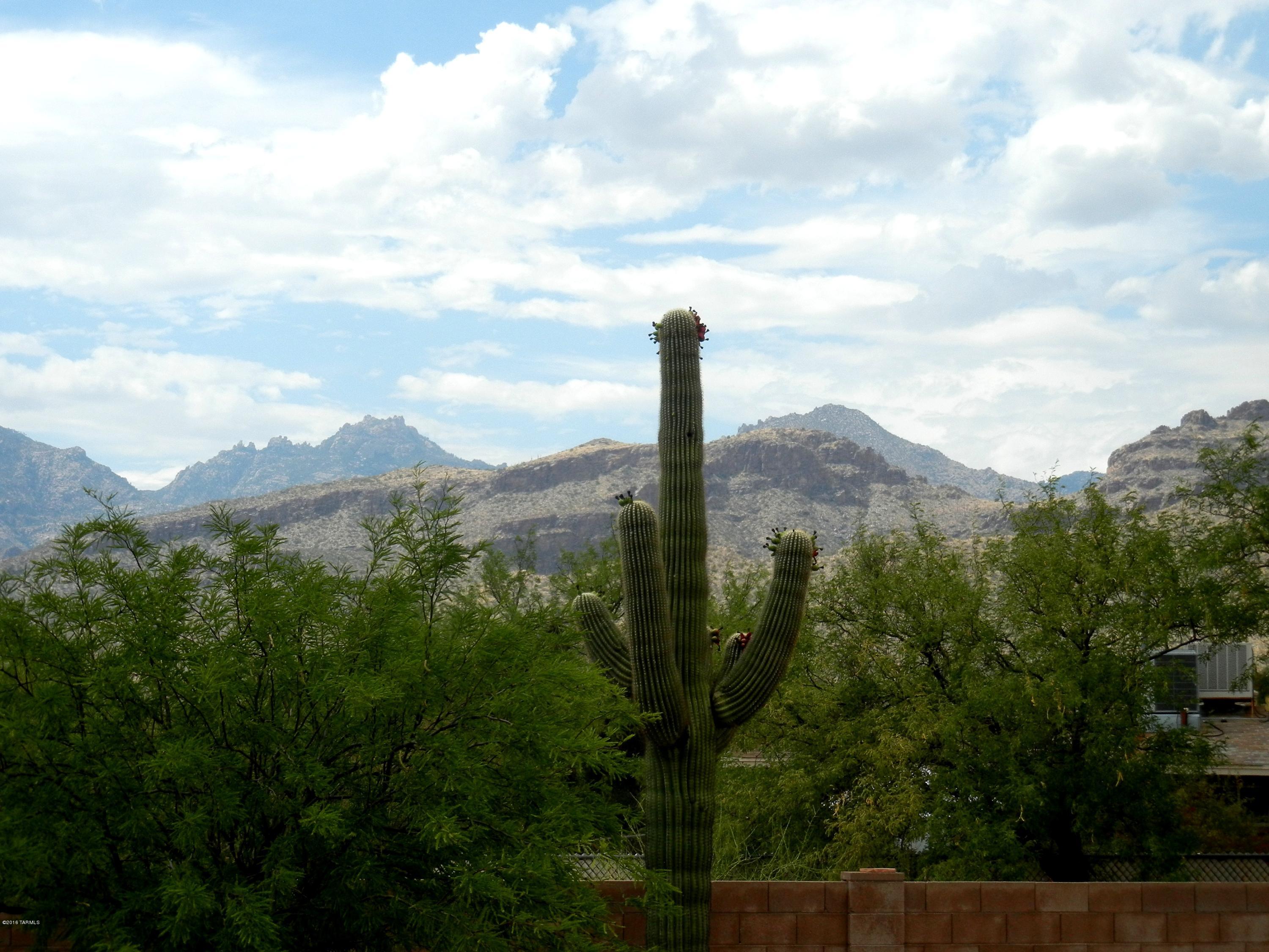 4621 N Rio Vista Drive