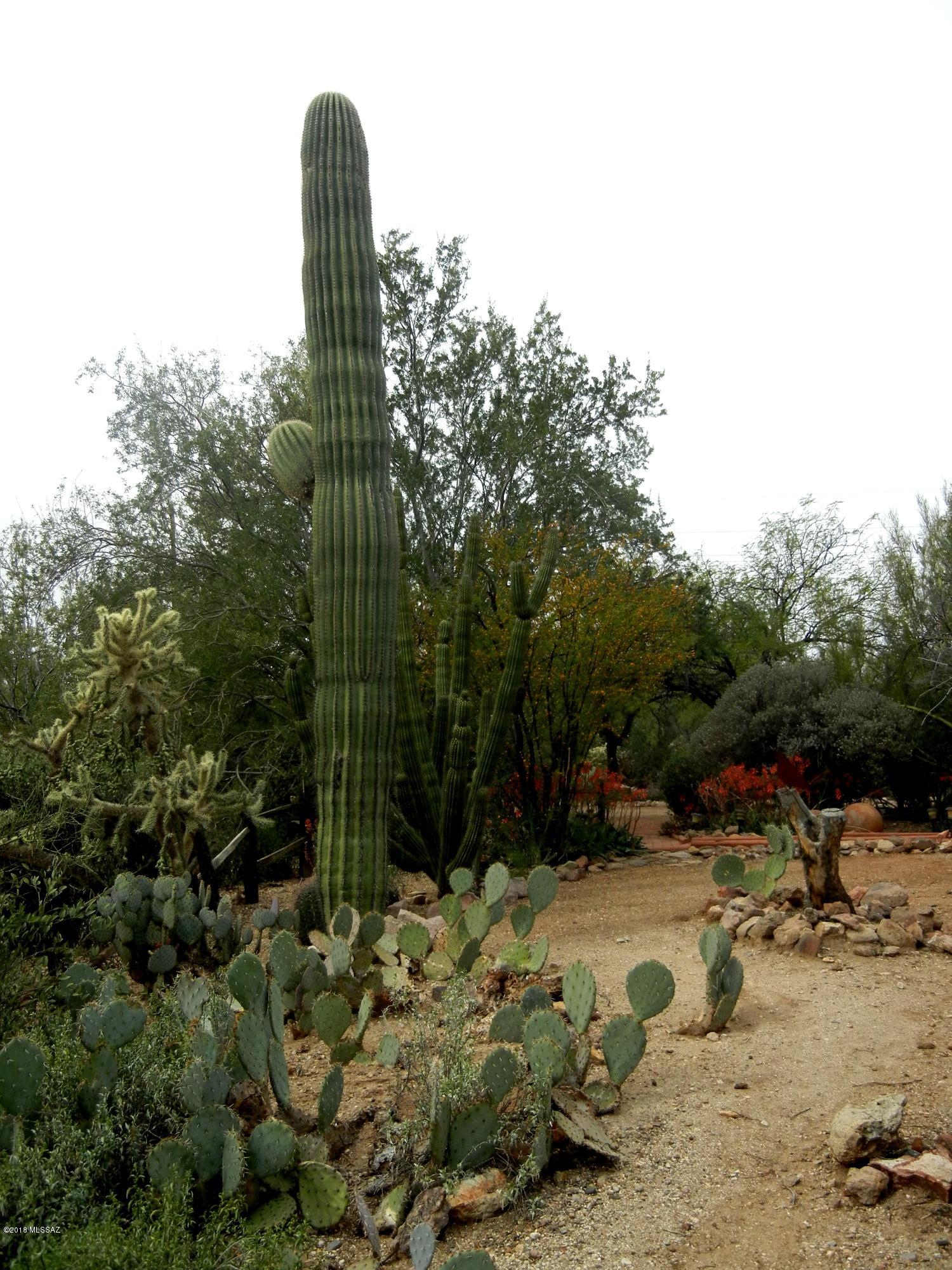 2280 N El Moraga Drive