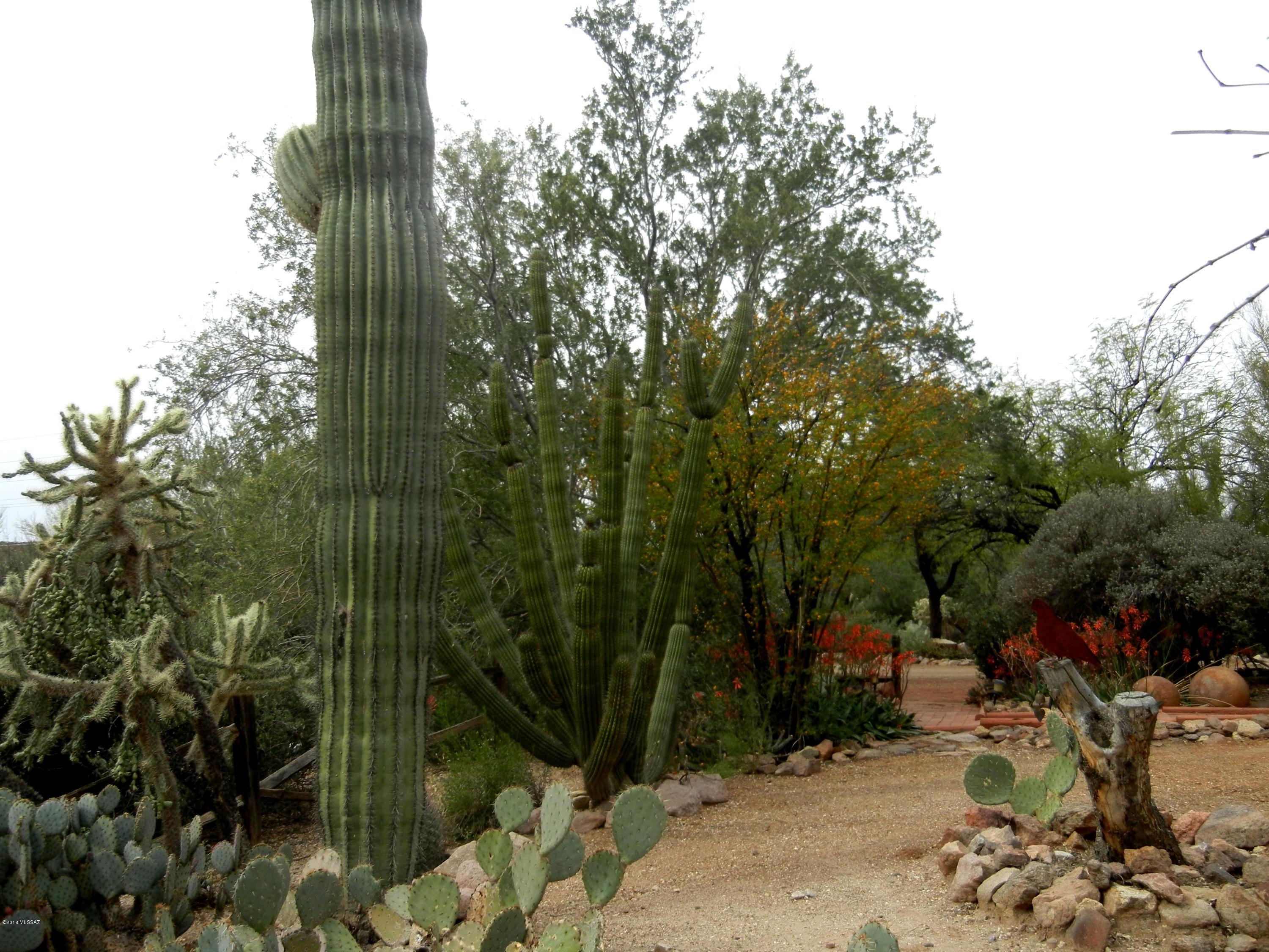 2280 N El Moraga Drive