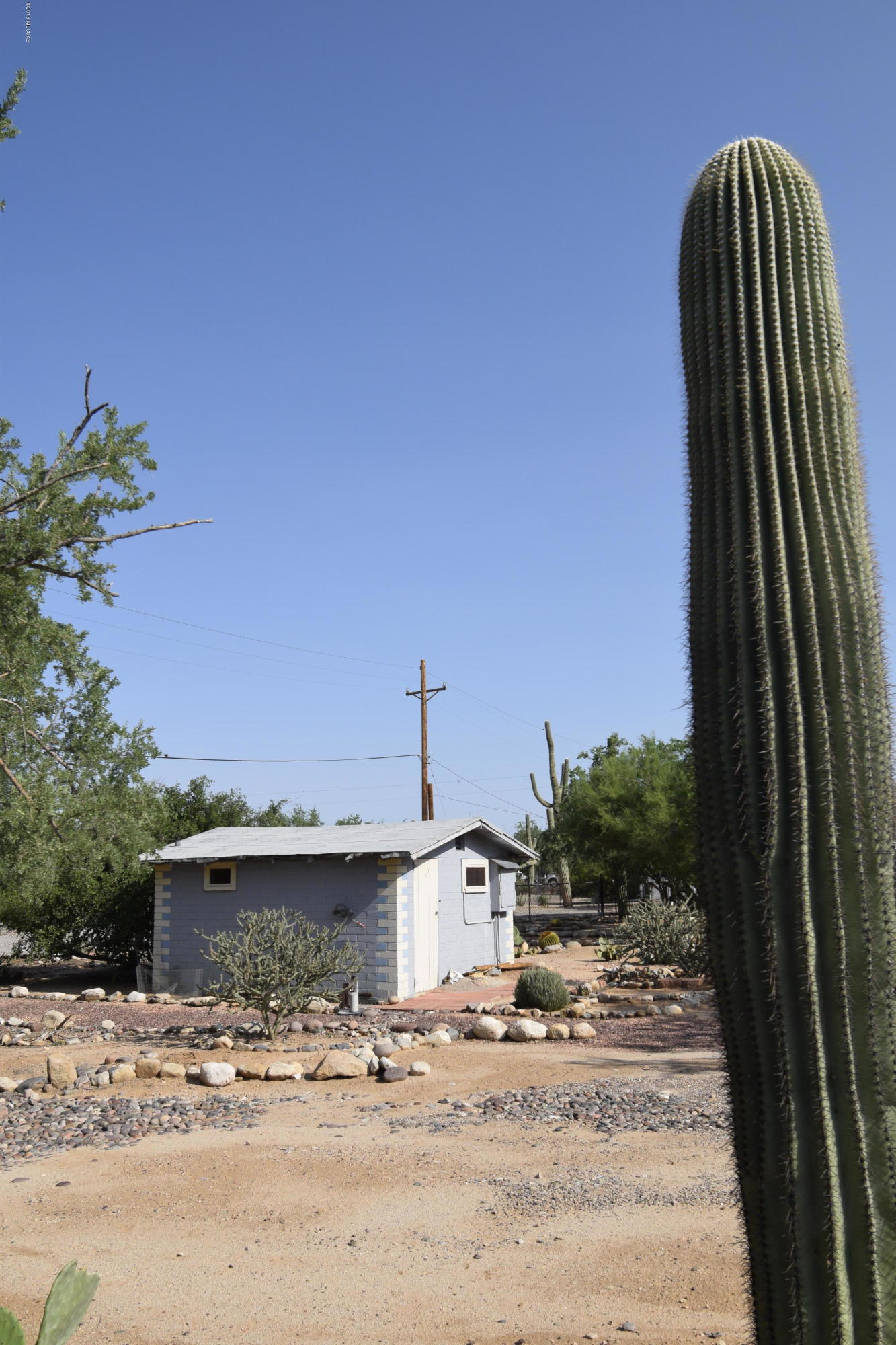 3120 W Lobo Road Unit: 3